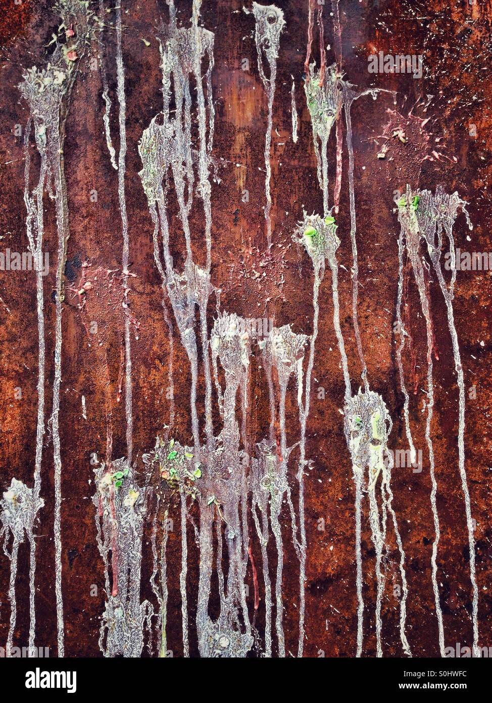 A rusty metal surface of an Old door covered with blotches from a paintball gun - Smartphone Captured Stock Image