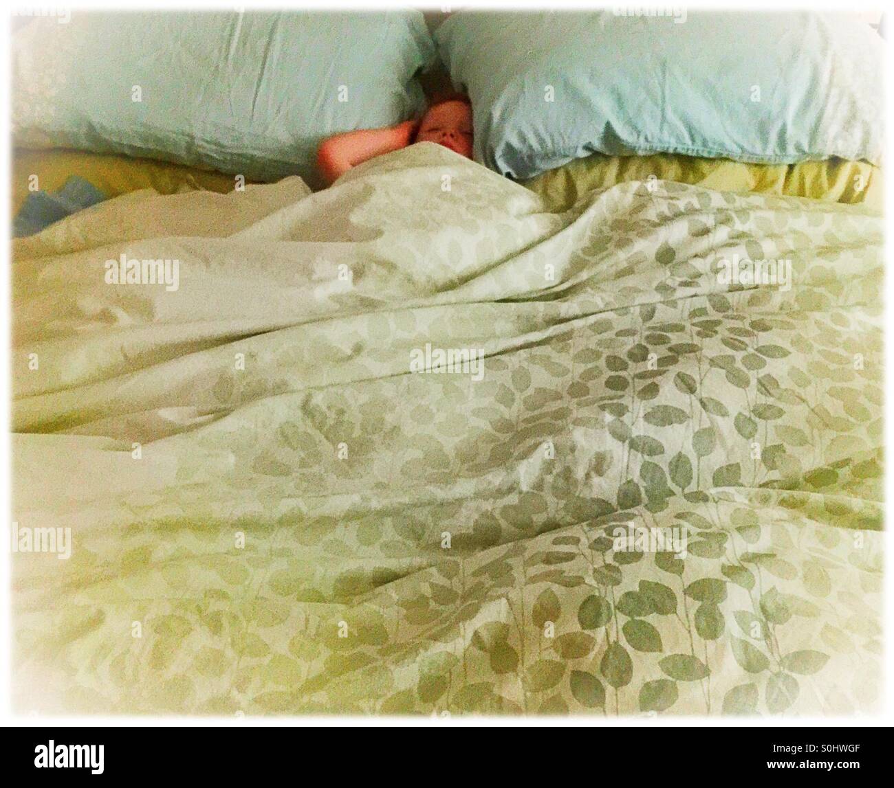 Small child sleeping in a big bed Stock Photo Alamy