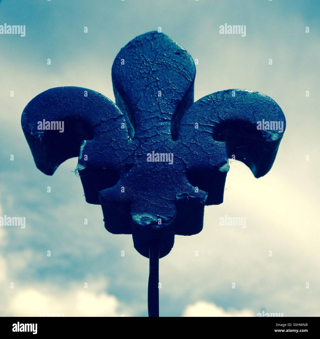 Fleur de lys - Smartphone Captured Stock Image