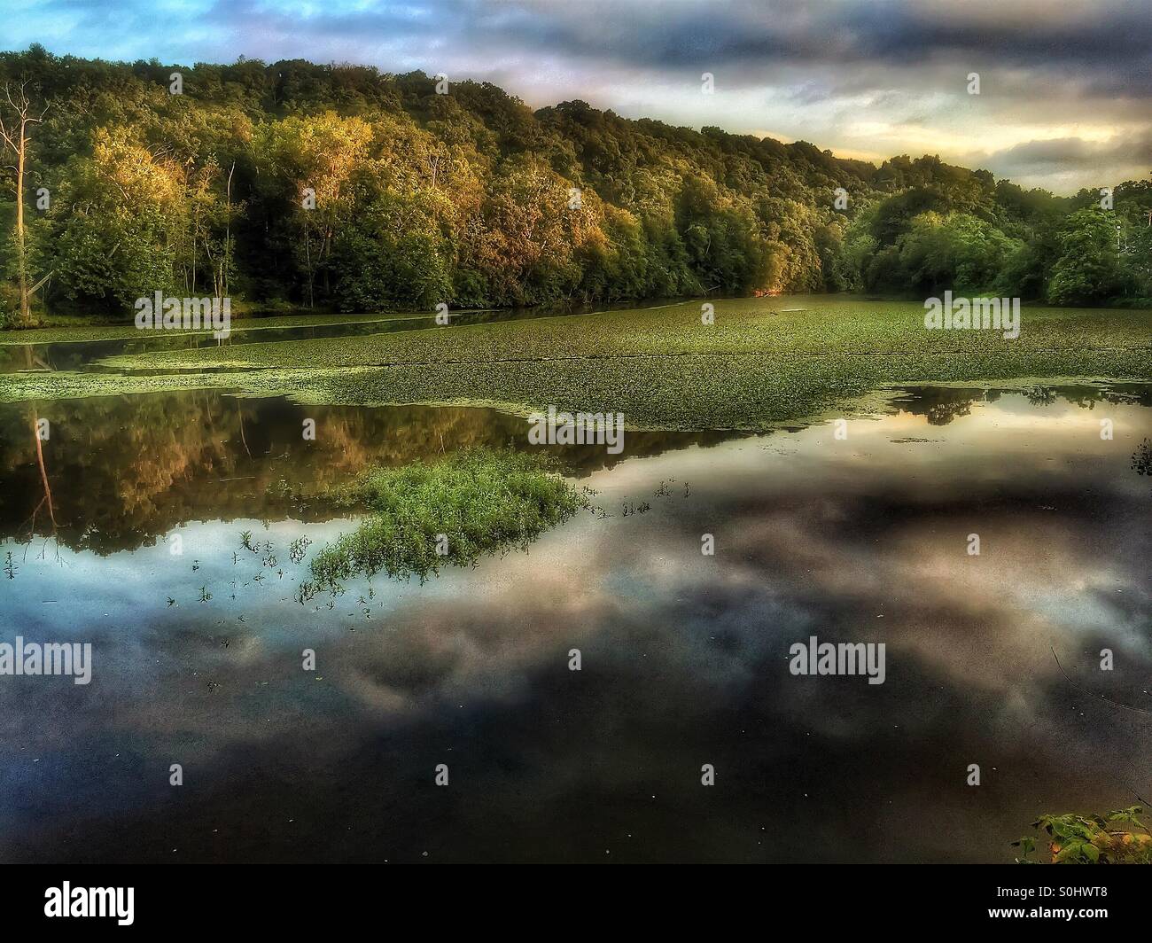 The creek at sunrise Stock Photo Alamy