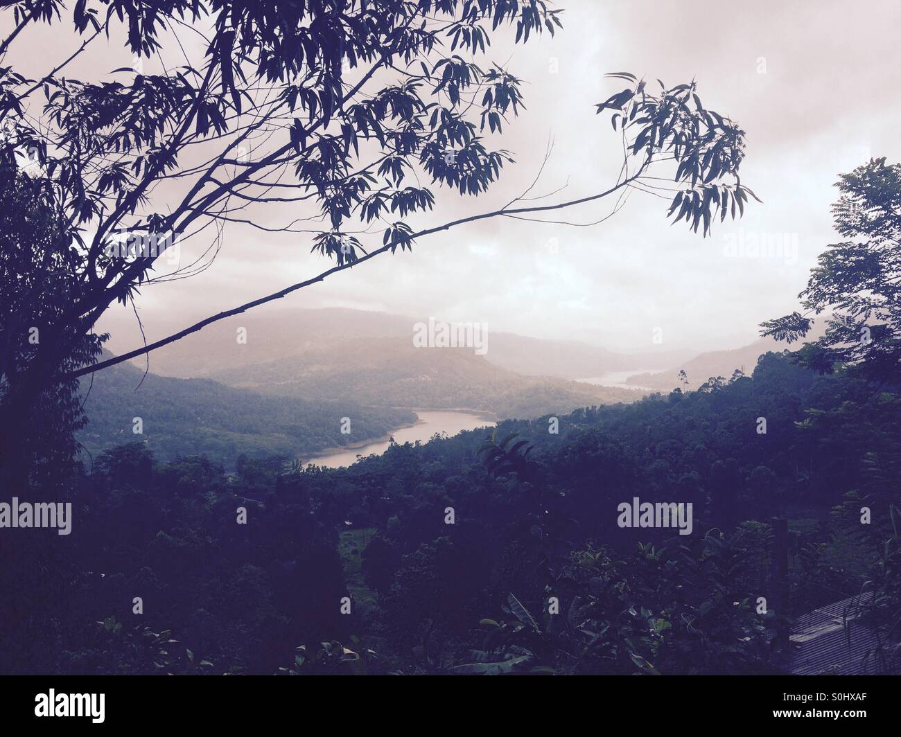 Central Province, Sri Lanka Stock Photo Alamy