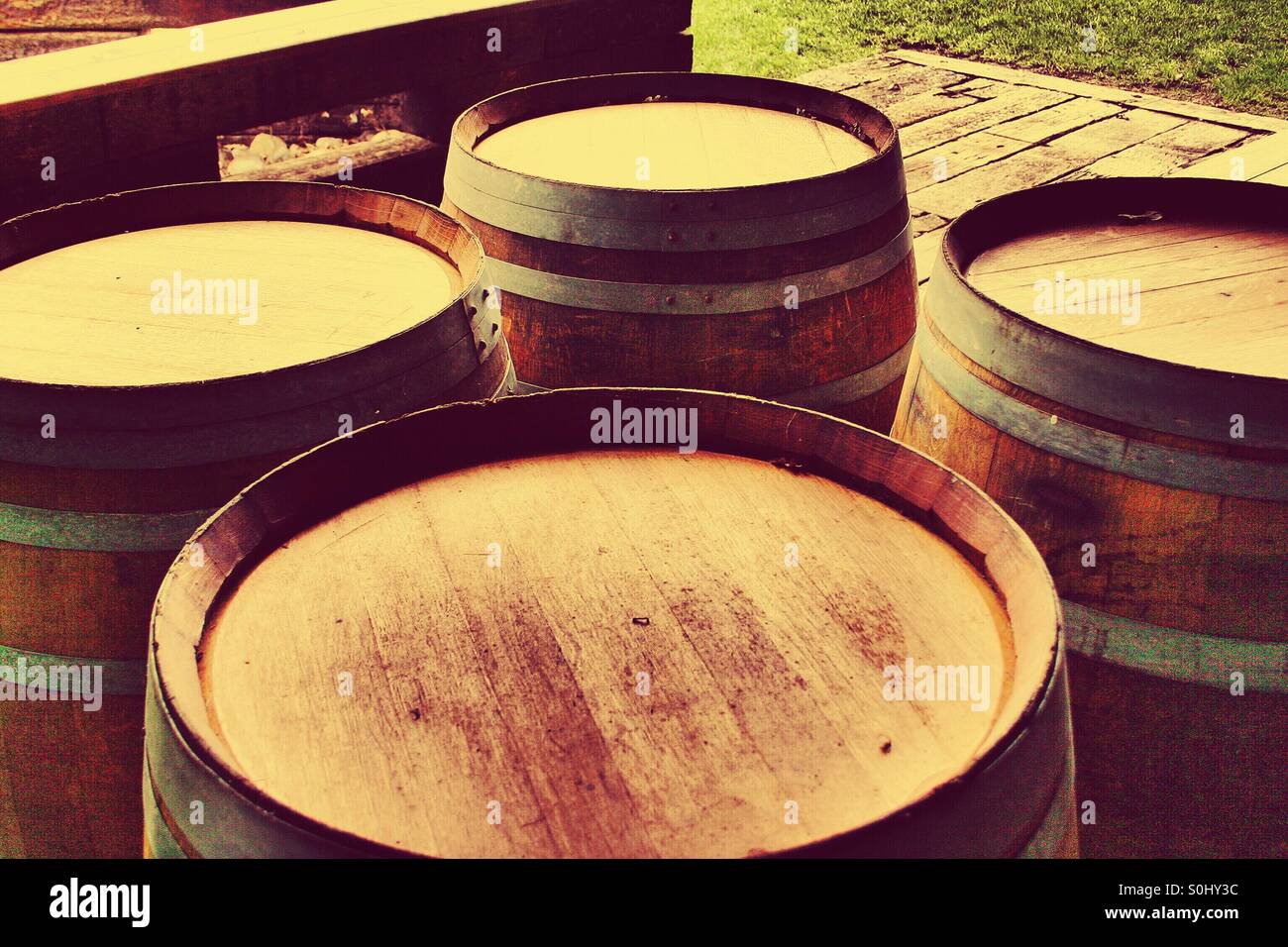 Wine Barrels Stock Photo