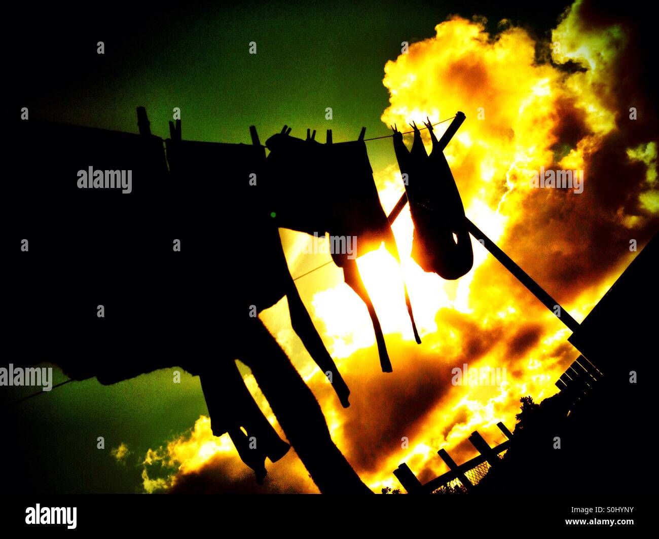 Evening wading line - Smartphone Captured Stock Image