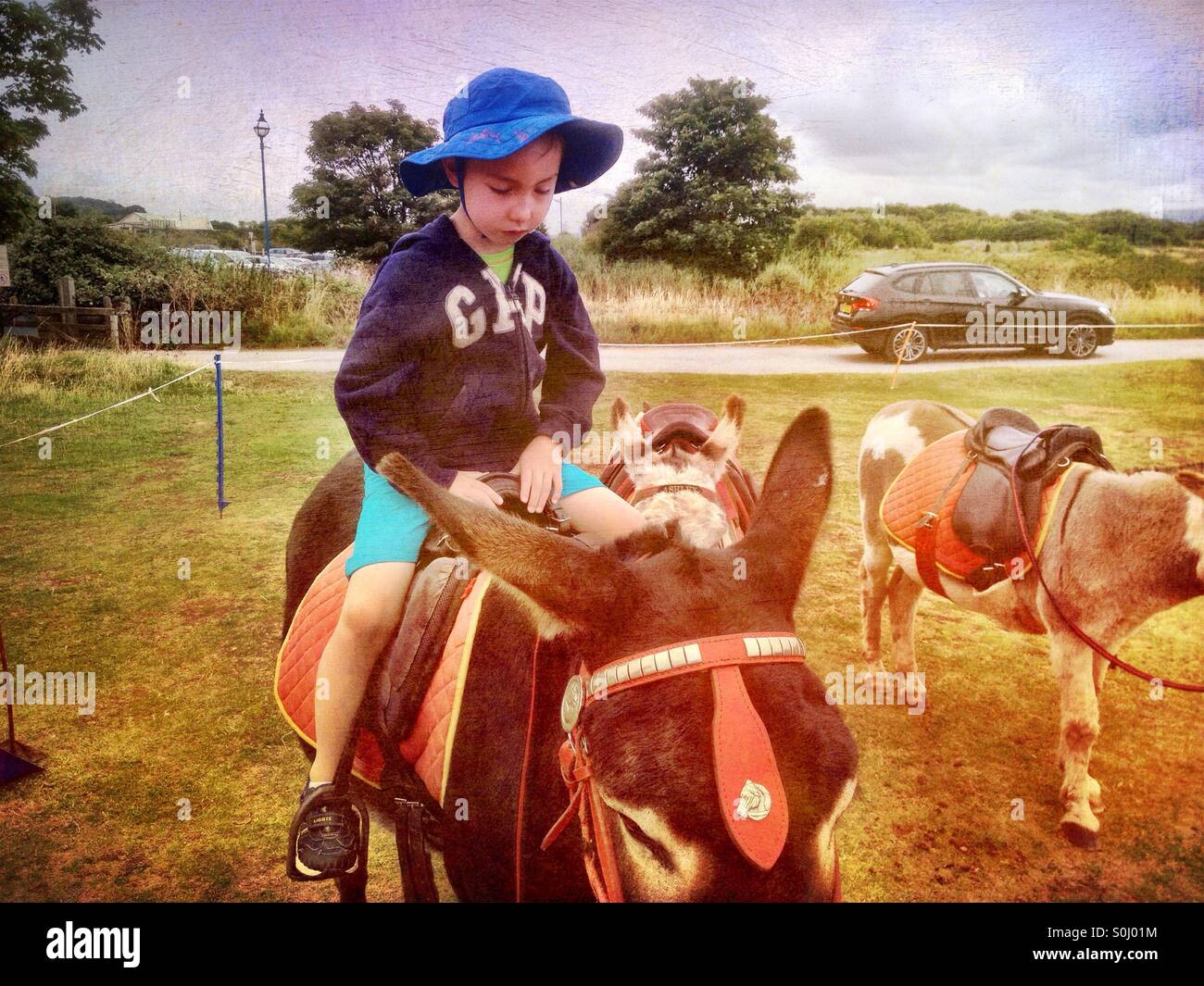 Riding donkey pony hi-res stock photography and images - Alamy