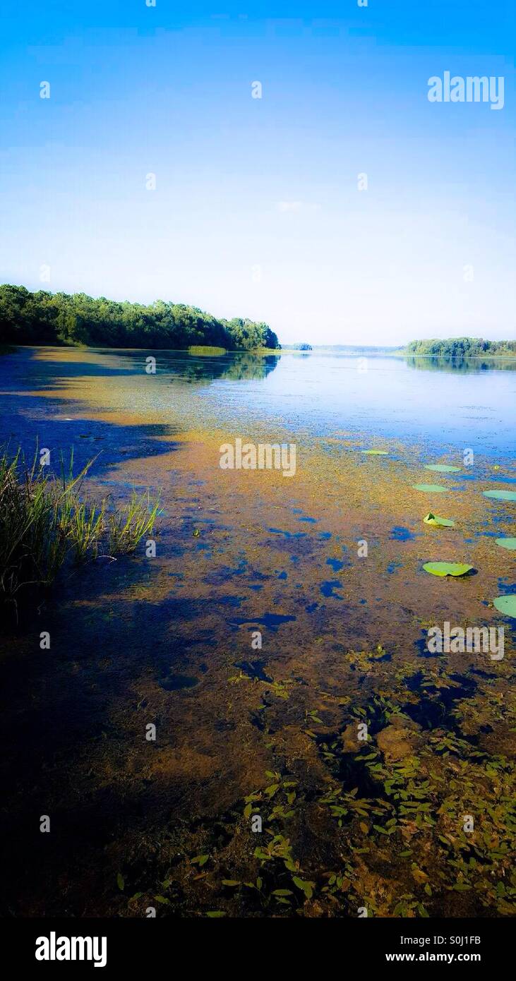 Lake Seminole, Donalsonville A summer day at the lake Stock