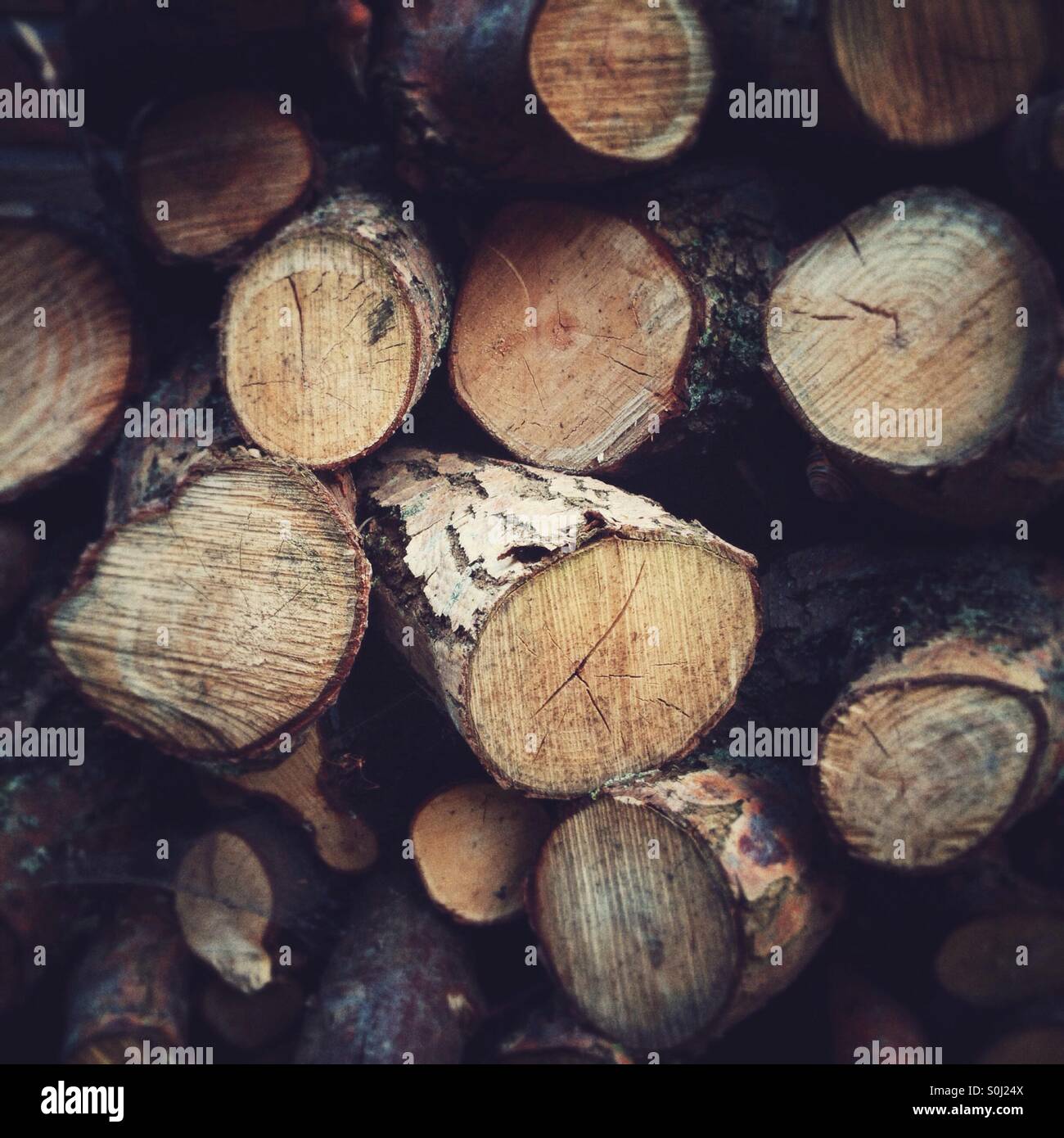 Well seasoned firewood hi-res stock photography and images - Alamy
