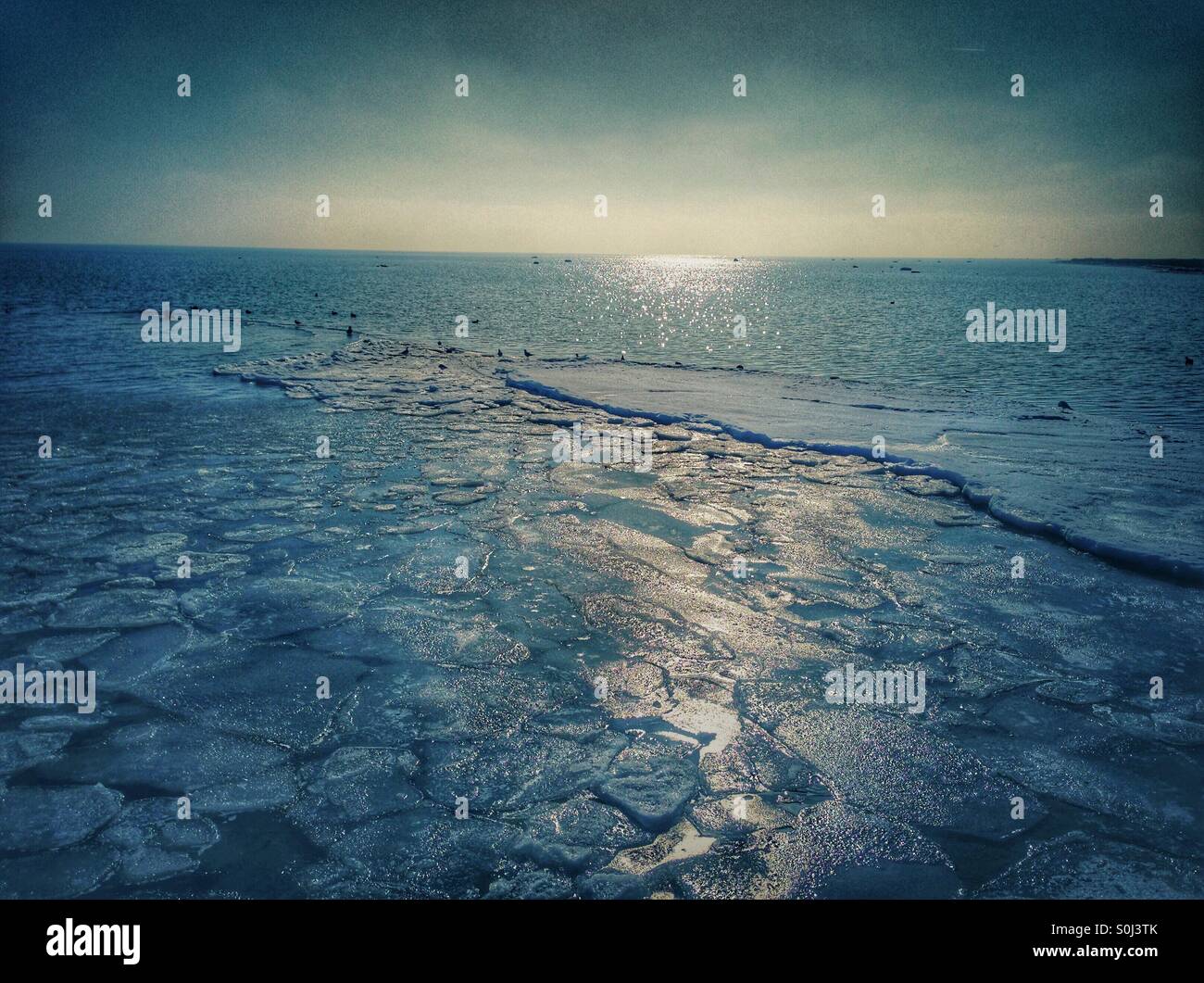 Dramatic Frozen sea in Dragor Copenhagen Denmark - Smartphone Captured Stock Image