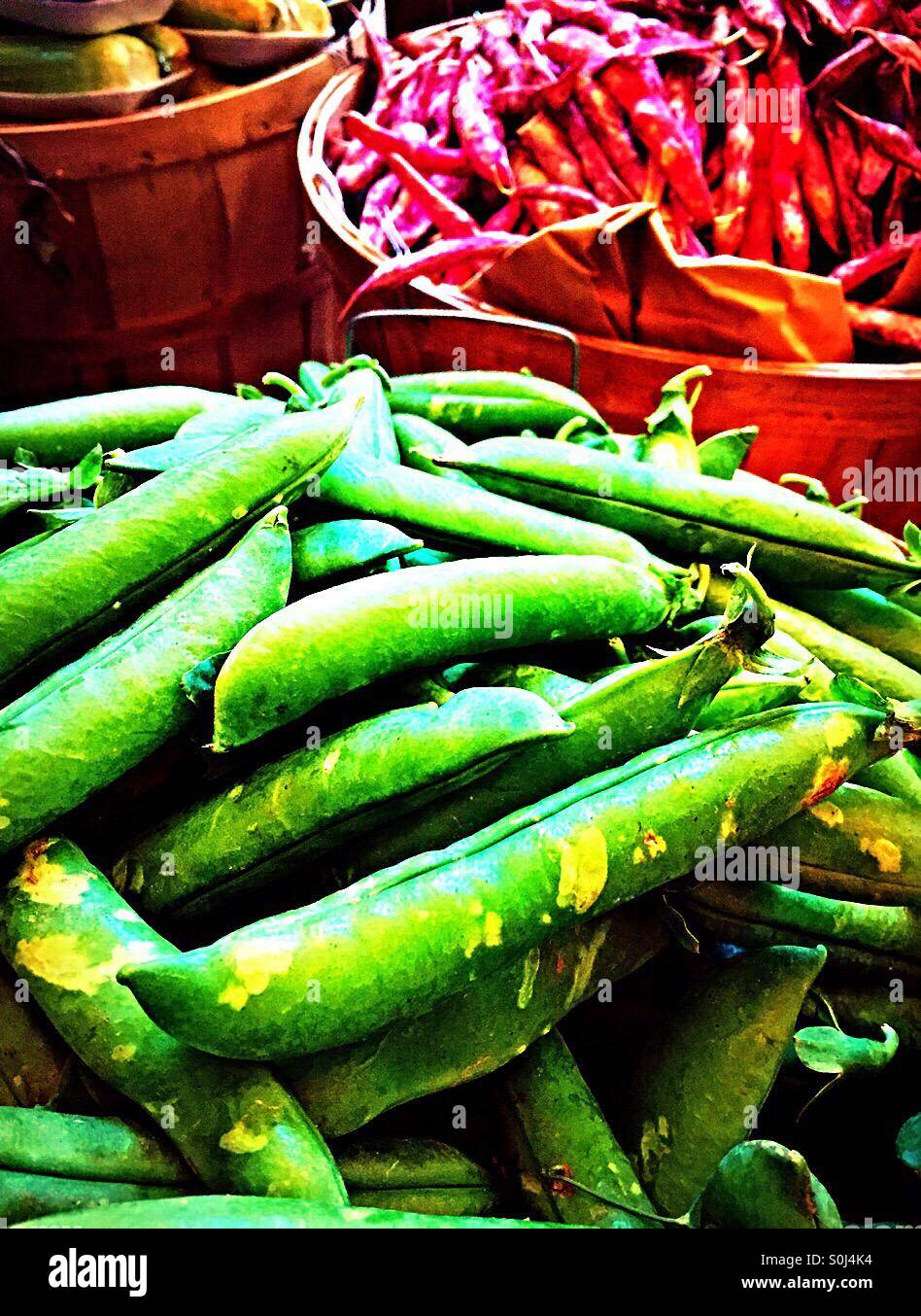 Fresh raw peapods. - Smartphone Captured Stock Image