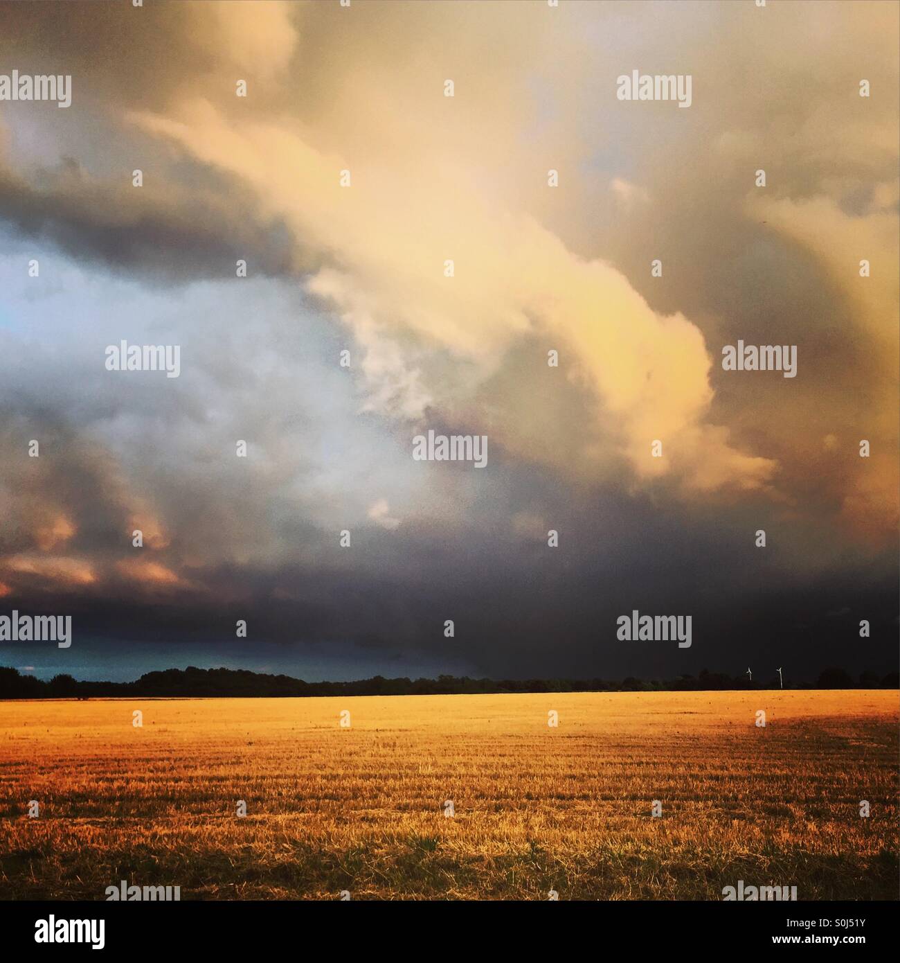 Stormy sky over a recently cut corn field - Smartphone Captured Stock Image
