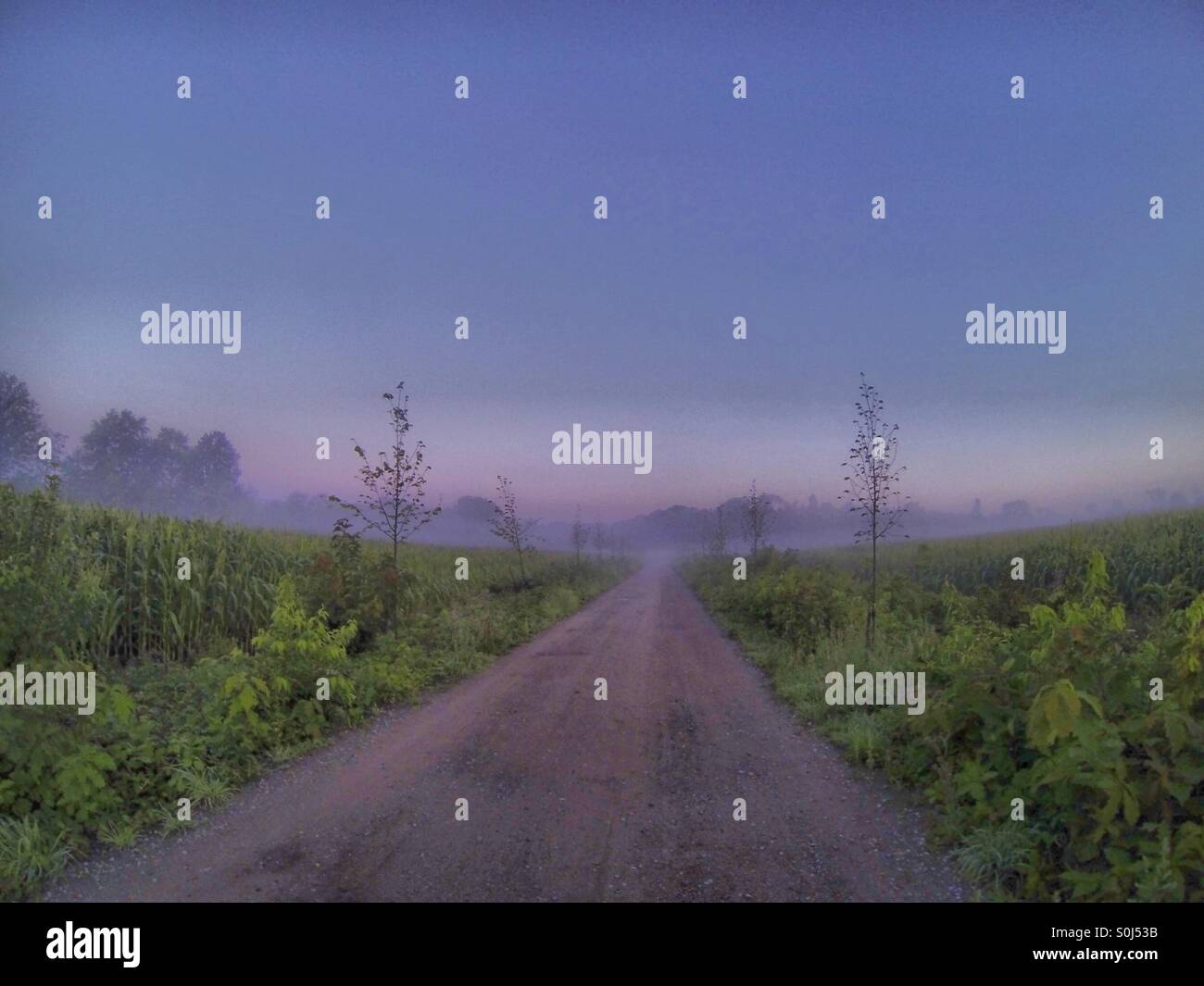 Misty road - Smartphone Captured Stock Image