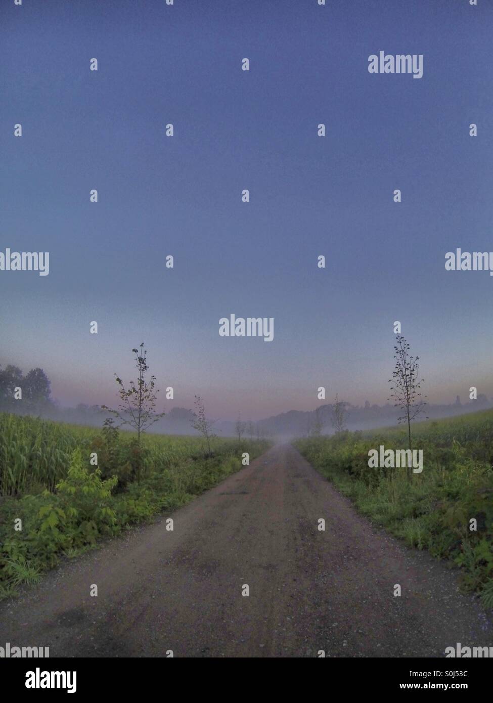 Misty morning on the road - Smartphone Captured Stock Image