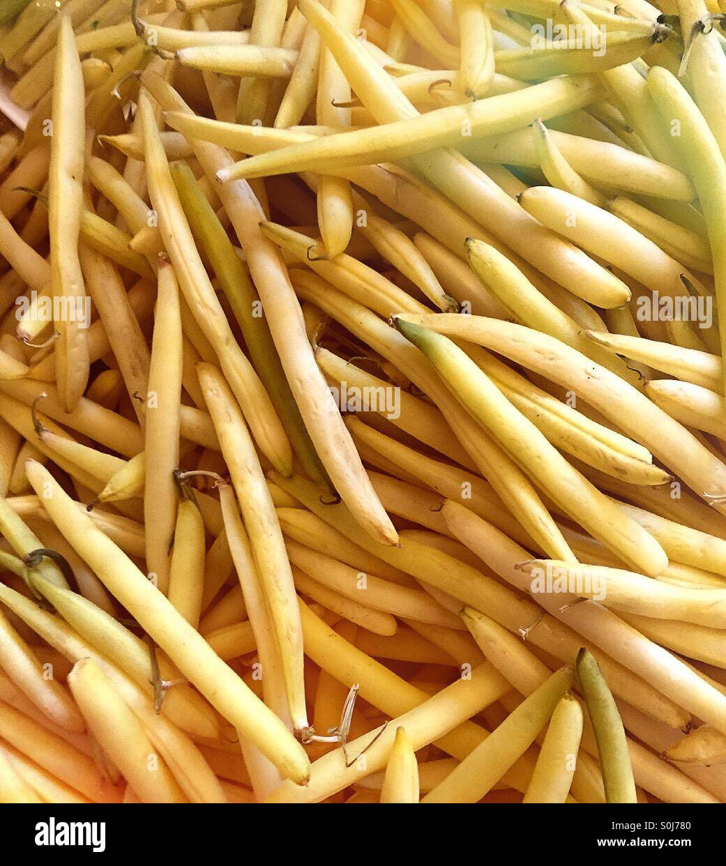 Fresh beans - Smartphone Captured Stock Image