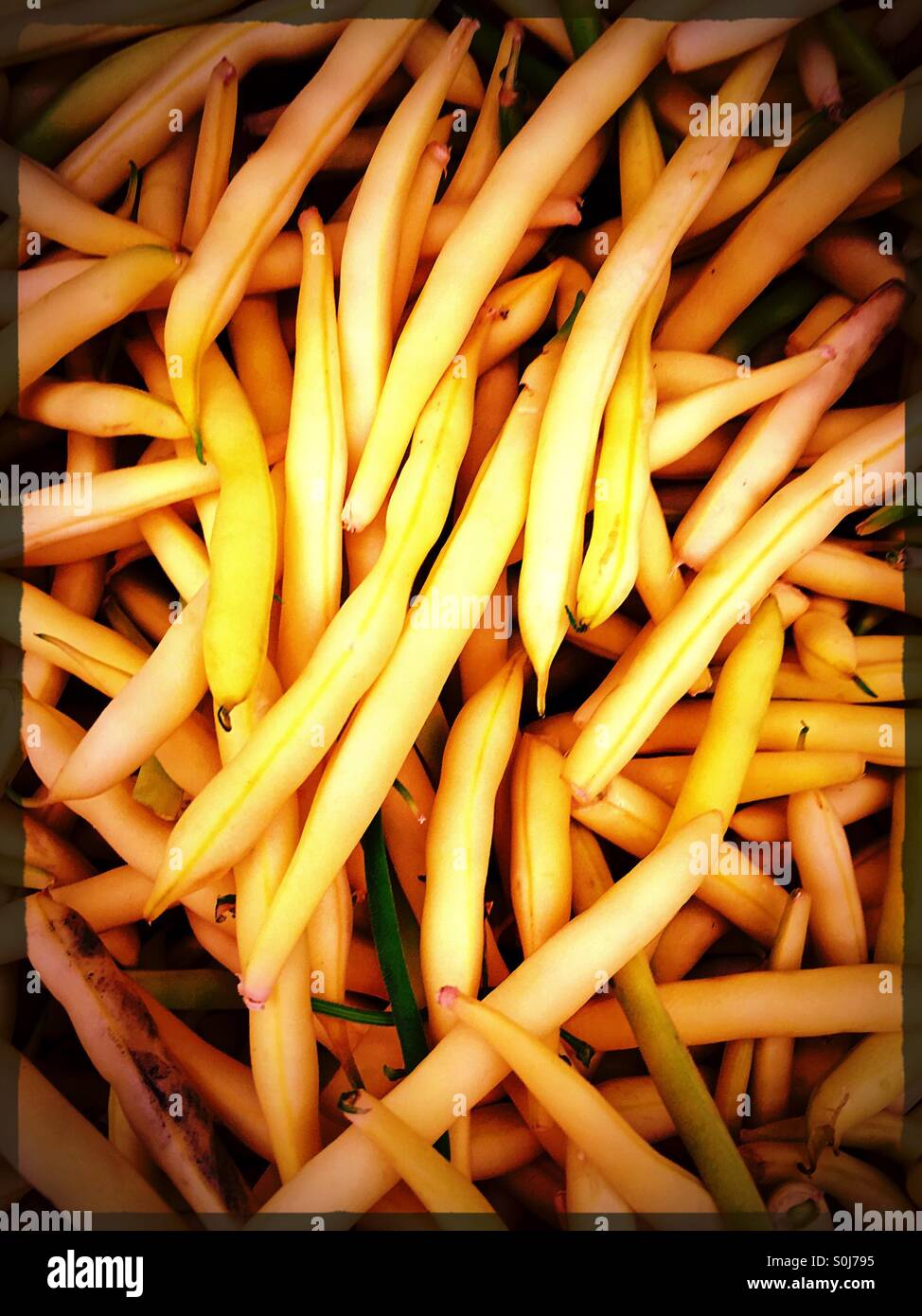 Beans - Smartphone Captured Stock Image