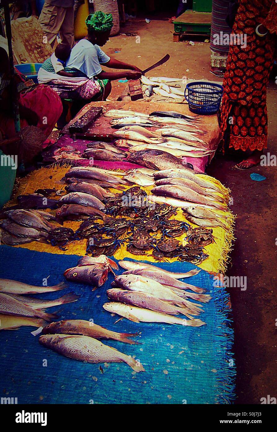 Fish and crabs for sale African market - Smartphone Captured Stock Image