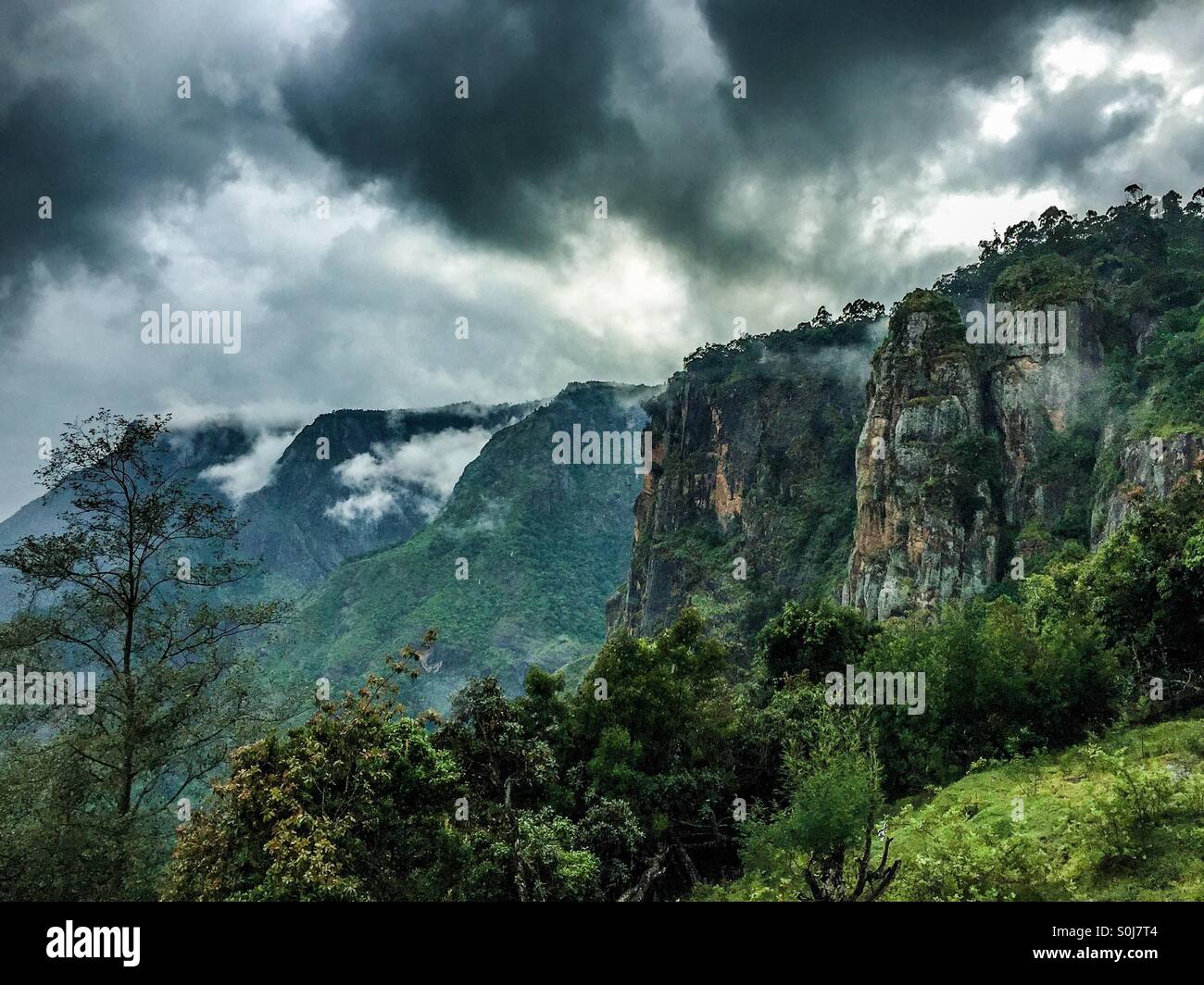 Kodaikanal pillar rocks hi-res stock photography and images - Alamy
