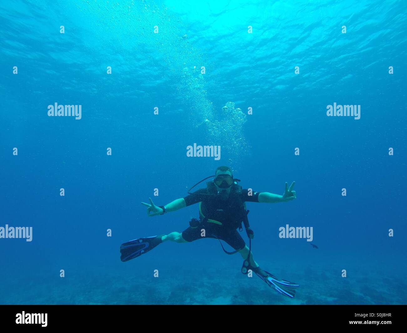 SCUBA diving in the Philippines Stock Photo Alamy