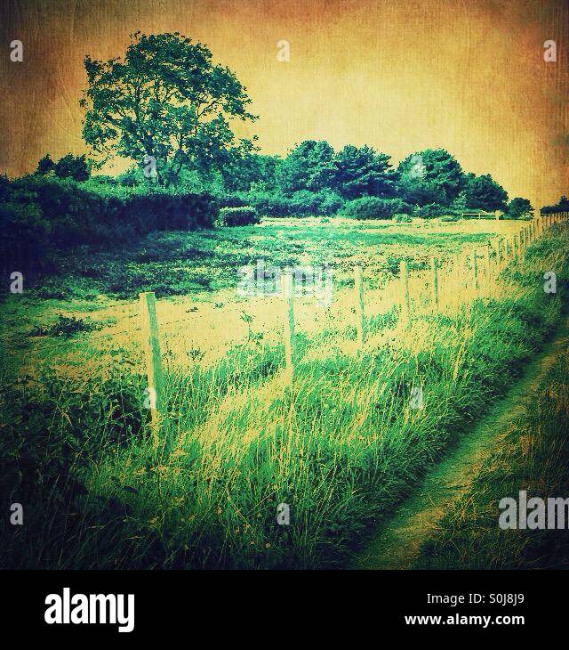 Walking on the Saxon Shore Way - Smartphone Captured Stock Image