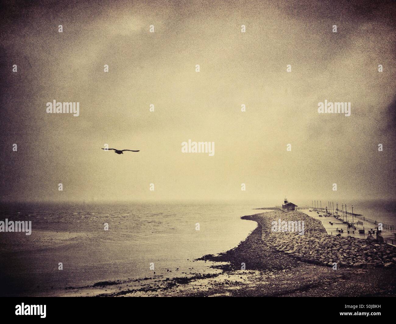 Seagull flying past Stone Jetty in Morecambe on a stormy day - Smartphone Captured Stock Image