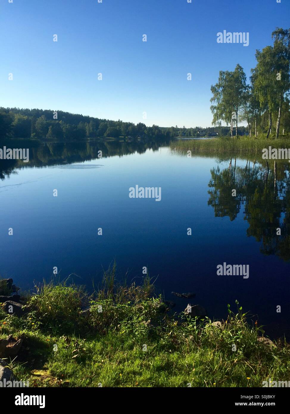 Mirror nature hi-res stock photography and images - Alamy