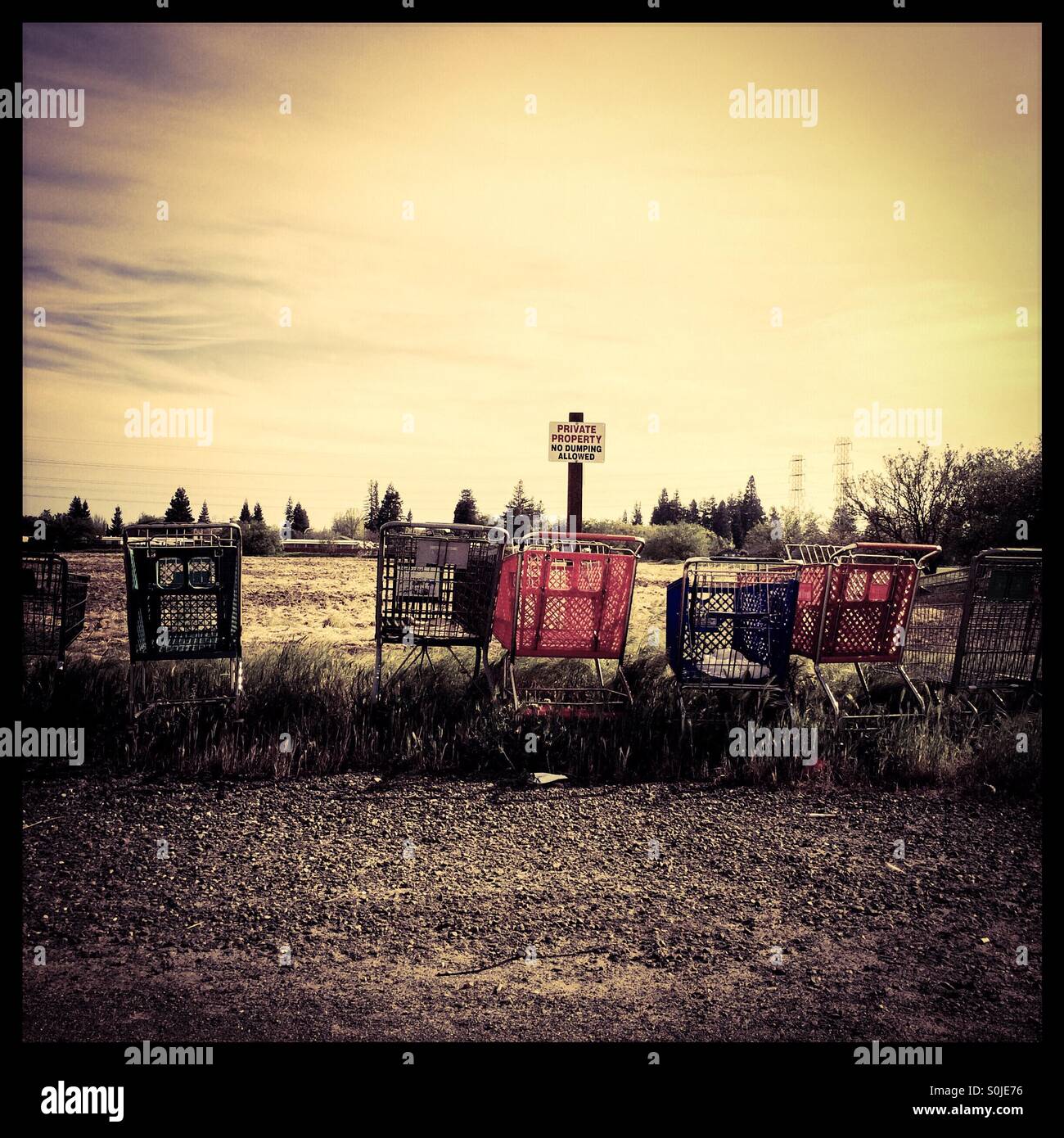Shopping carts left on the side of a country road in front of a Private Property, No Dumping sign. - Smartphone Captured Stock Image