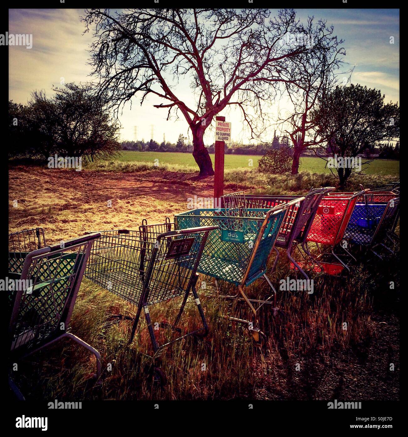 Shopping carts left on the side of a country road in front of a Private Property, No Dumping sign. - Smartphone Captured Stock Image