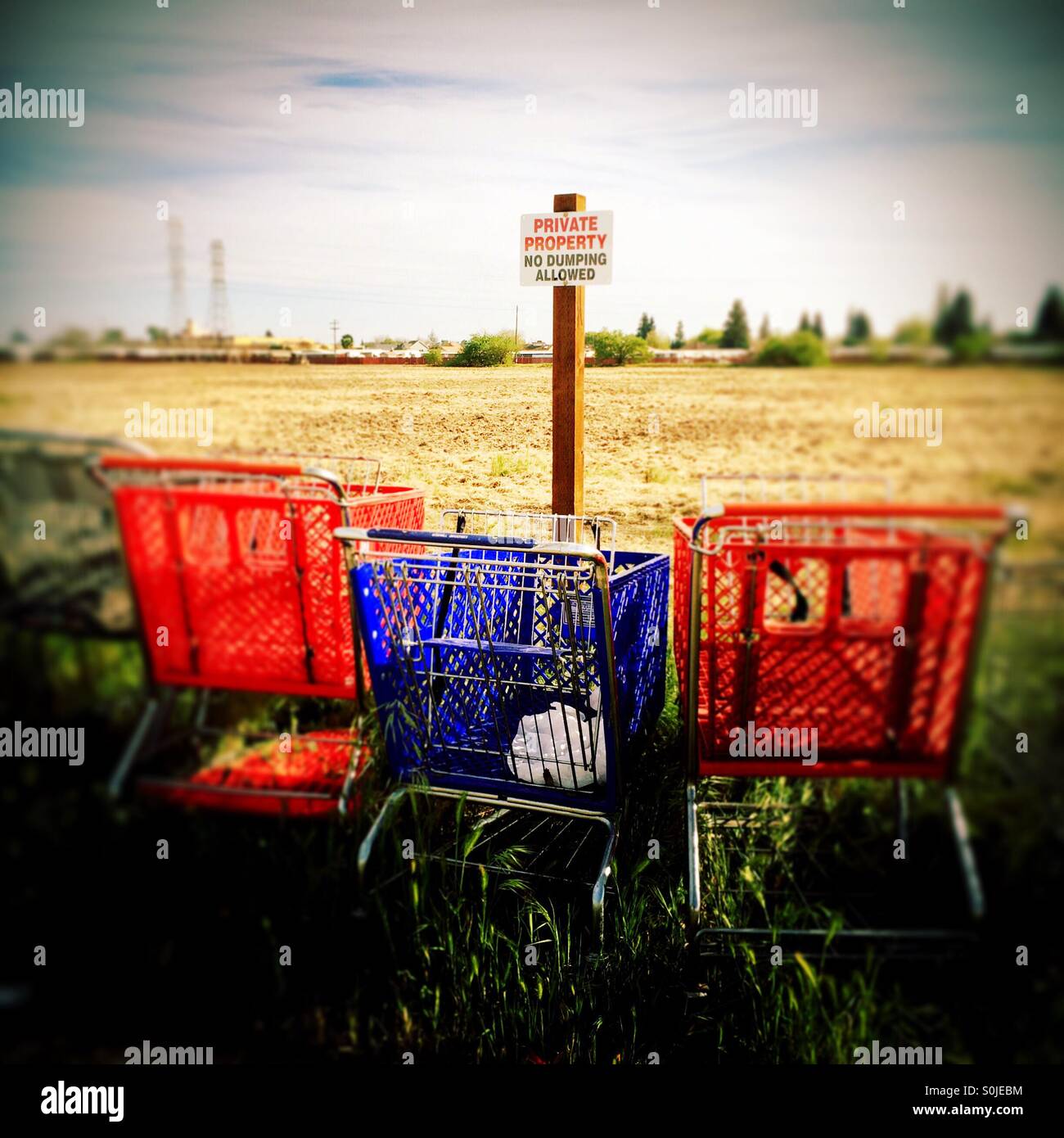 Shopping carts left on the side of a country road in front of a Private Property, No Dumping