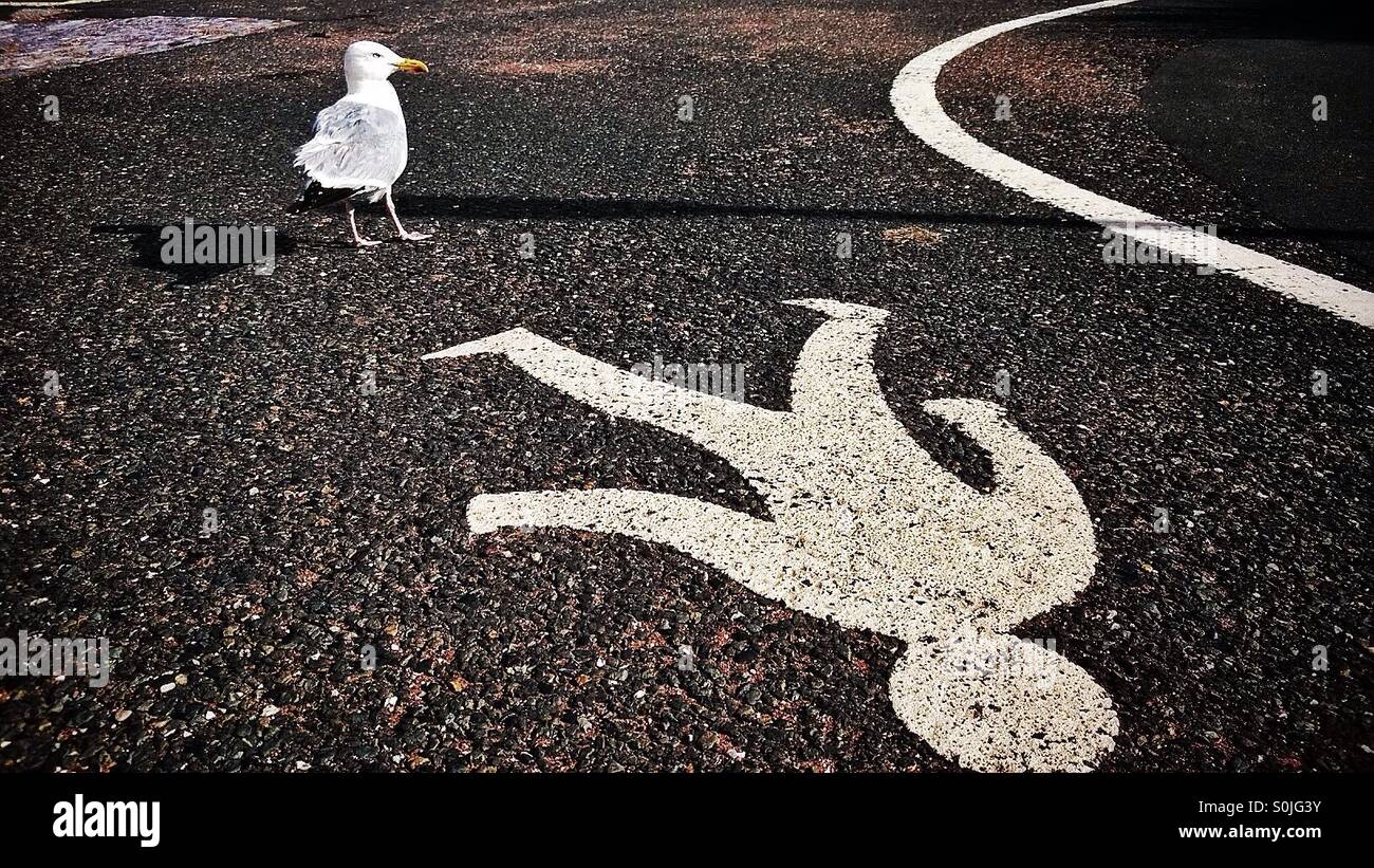 Seagull and pedestrian walkway Stock Photo