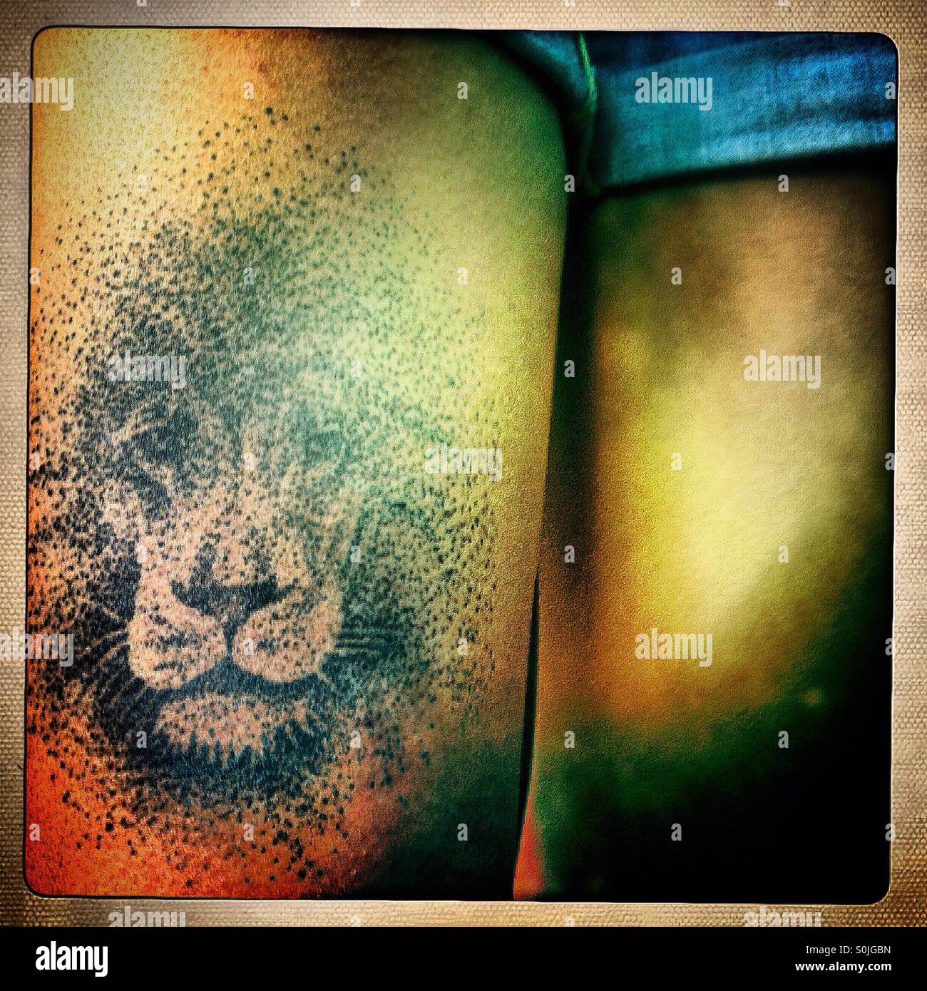 A tattoo of a lion in a woman leg in Colonia Condesa, Mexico City, Mexico Stock Photo