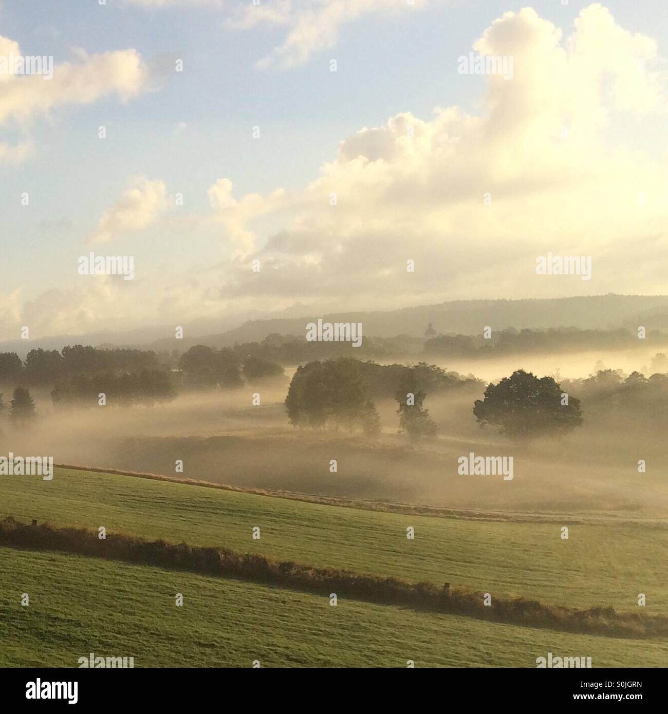 Sunny morning countryside with a little morningfog. - Smartphone Captured Stock Image
