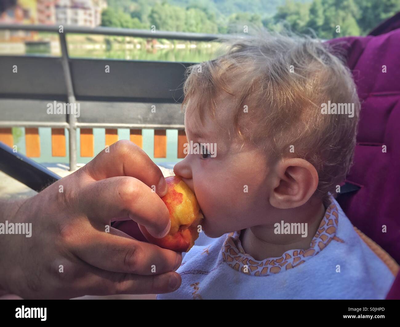 Baby eating a peach - Smartphone Captured Stock Image