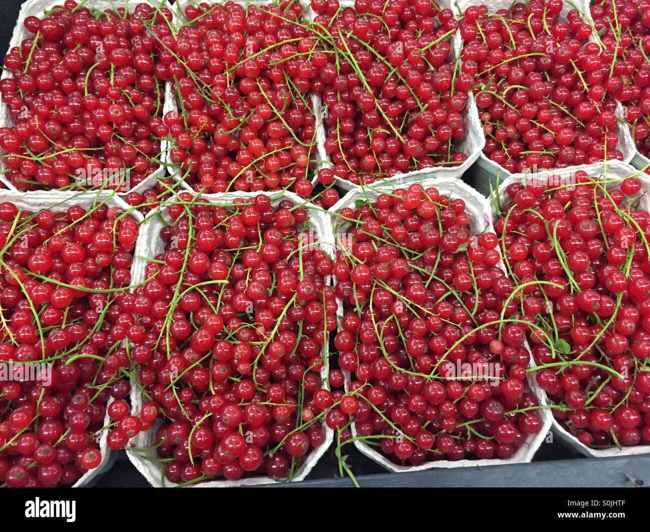 Fresh Red Currants for Sale Stock Photo