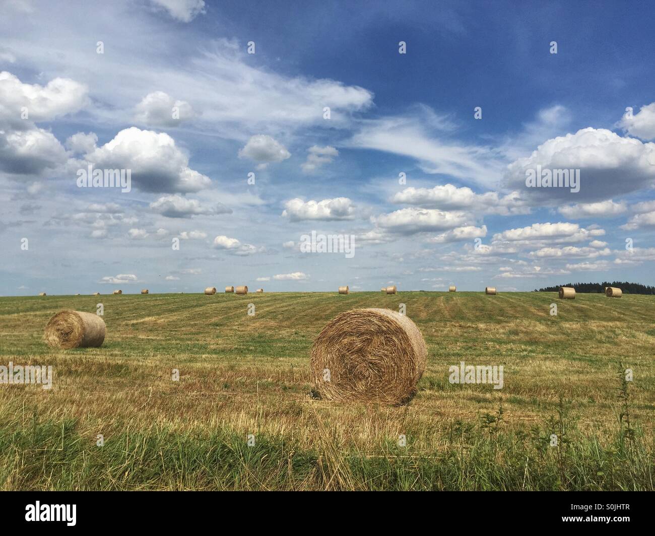Agricultural scene in Czech Republic Stock Photo