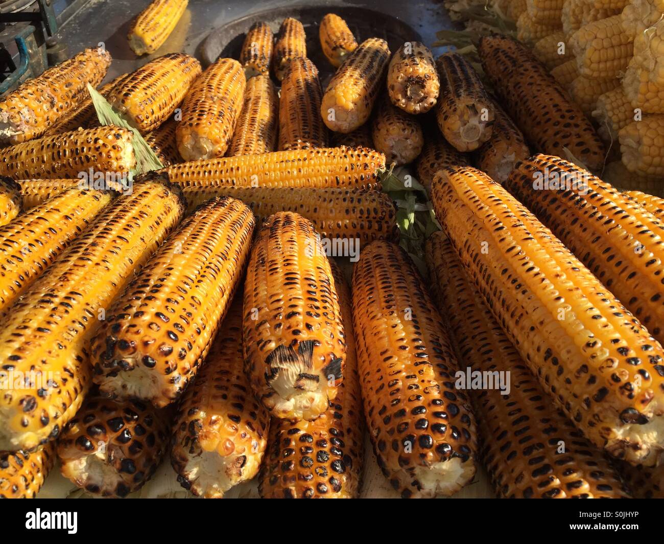 Barbecued corns Stock Photo