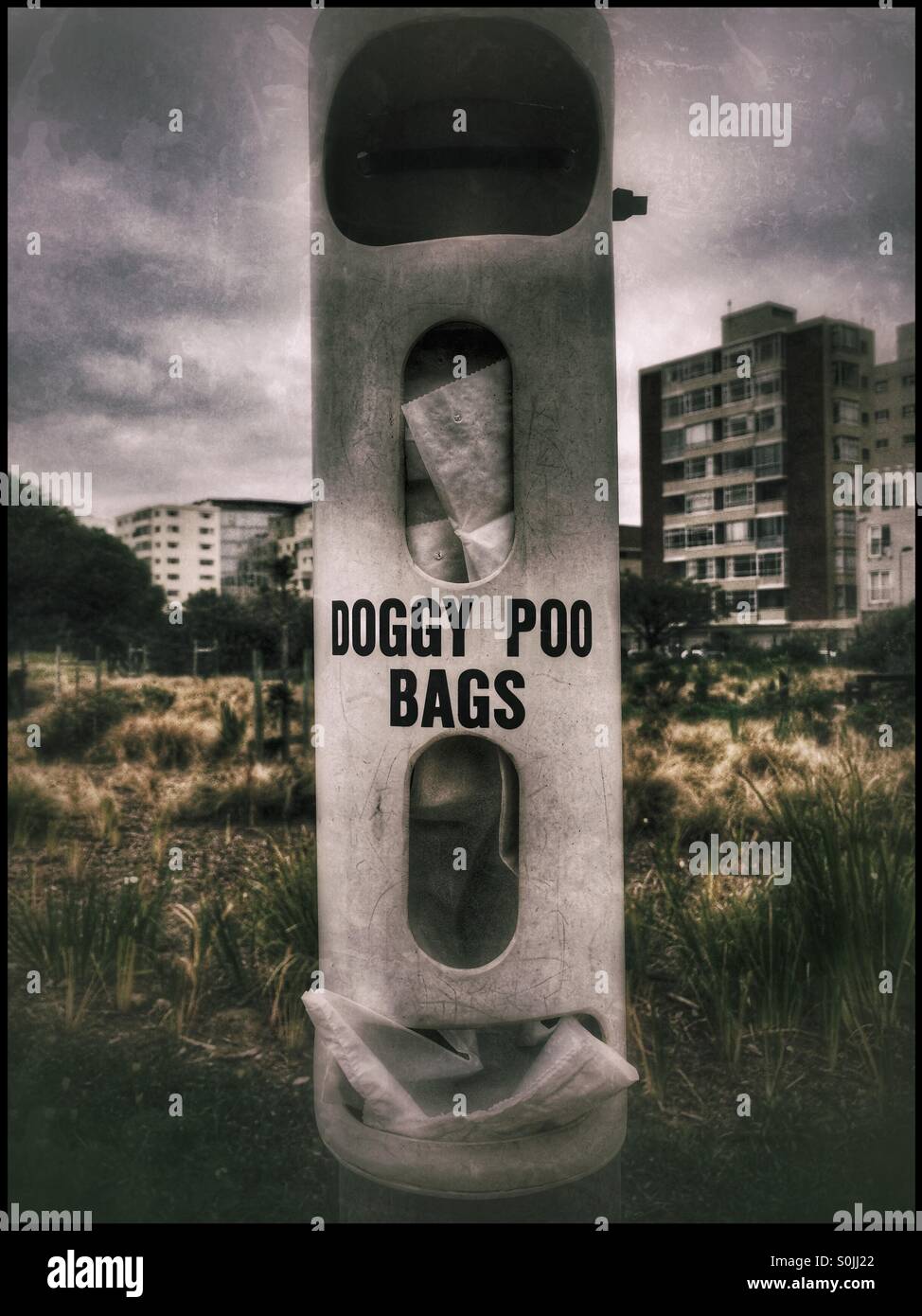 Doggy poo bags in Greenpoint Park, Cape Town, South Africa. - Smartphone Captured Stock Image