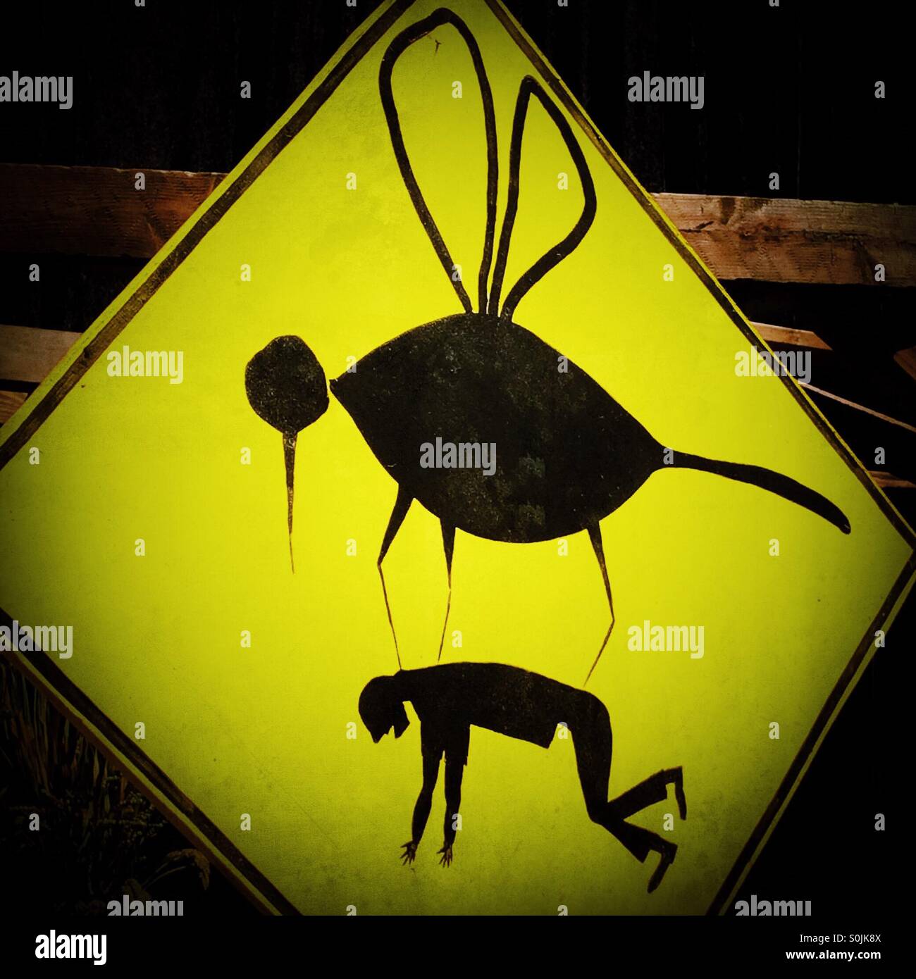 Beware of giant mosquitoes - Smartphone Captured Stock Image