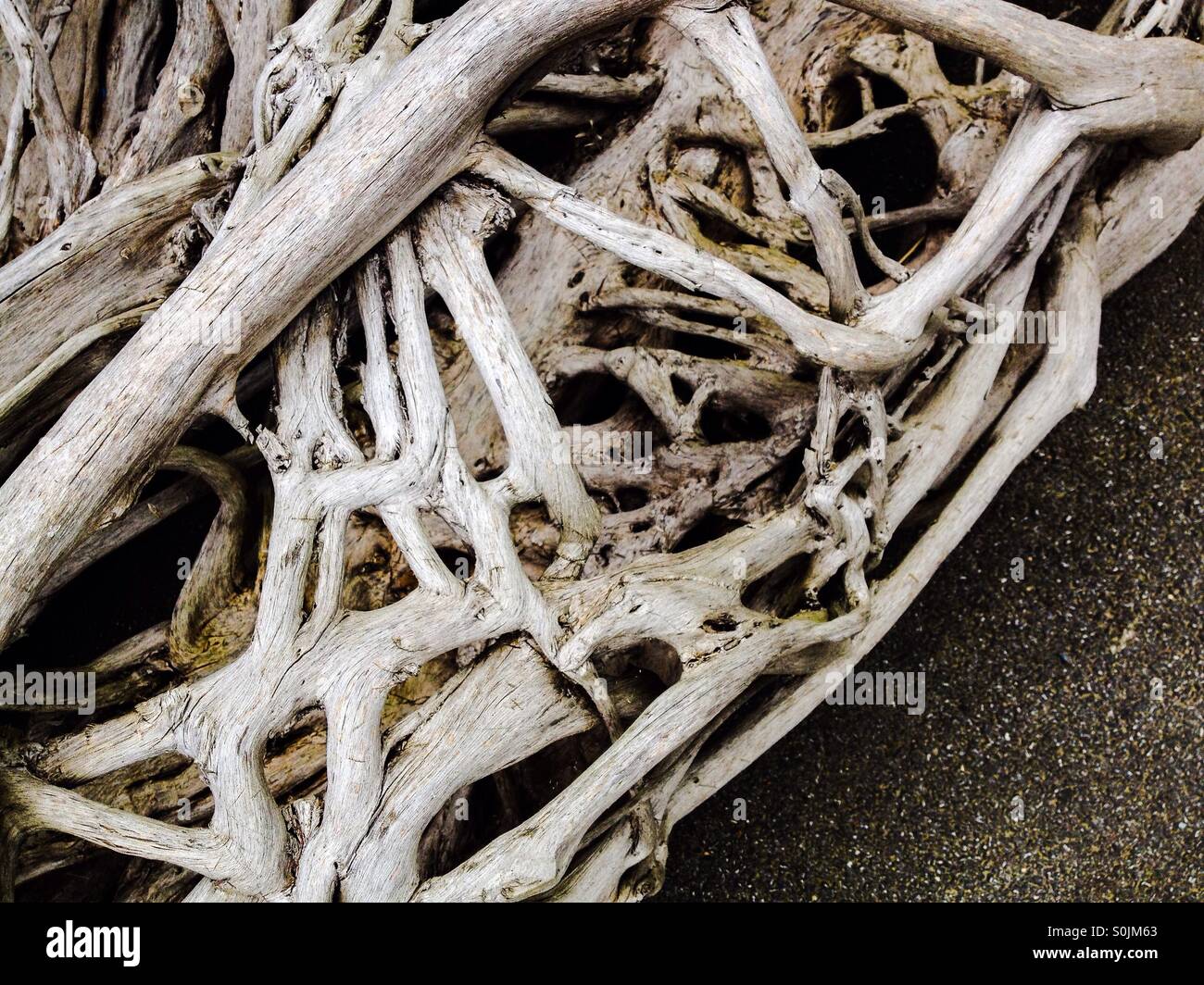 Dead wood from tropical vines - Smartphone Captured Stock Image