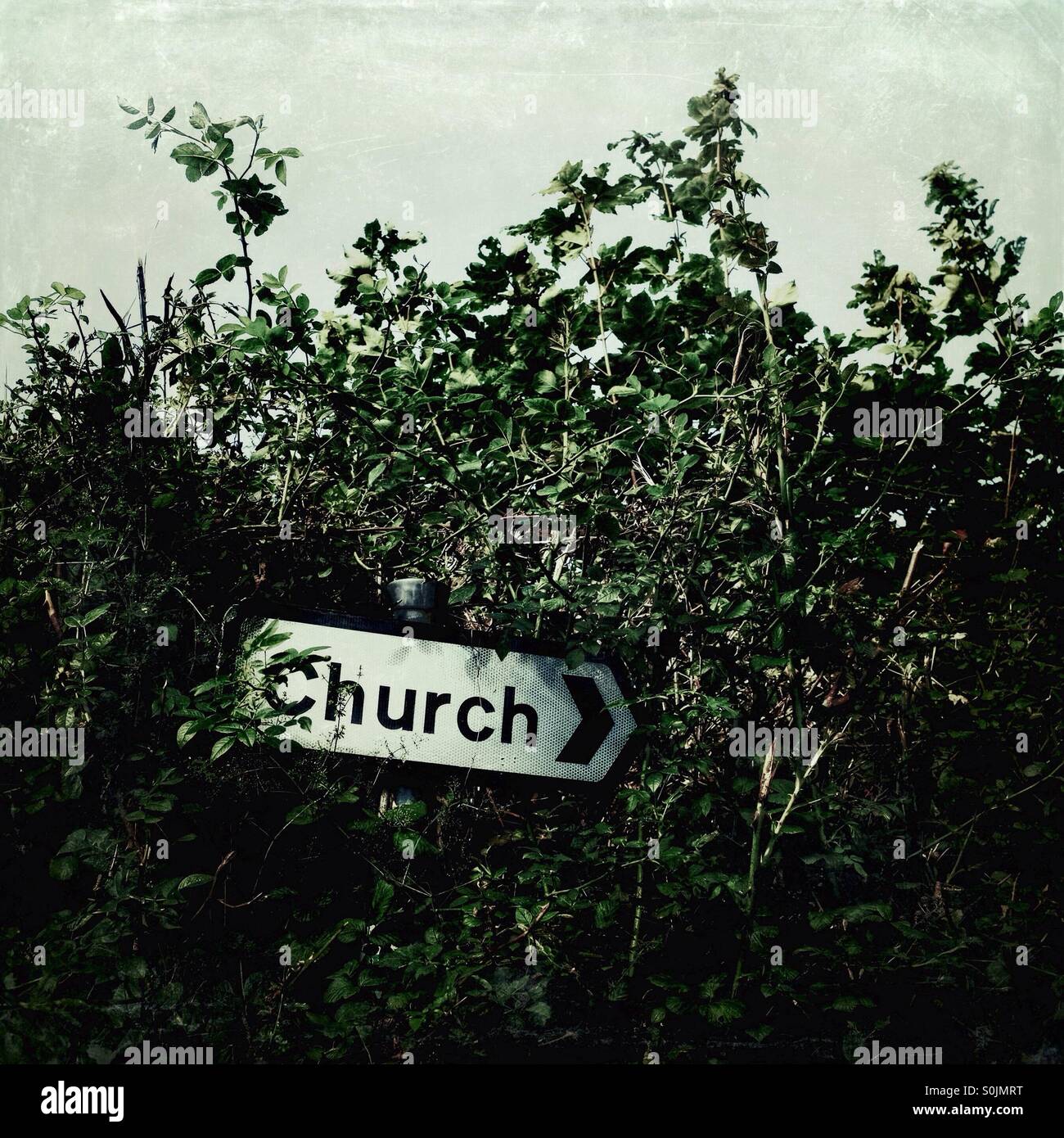 An overgrown church signpost - Smartphone Captured Stock Image