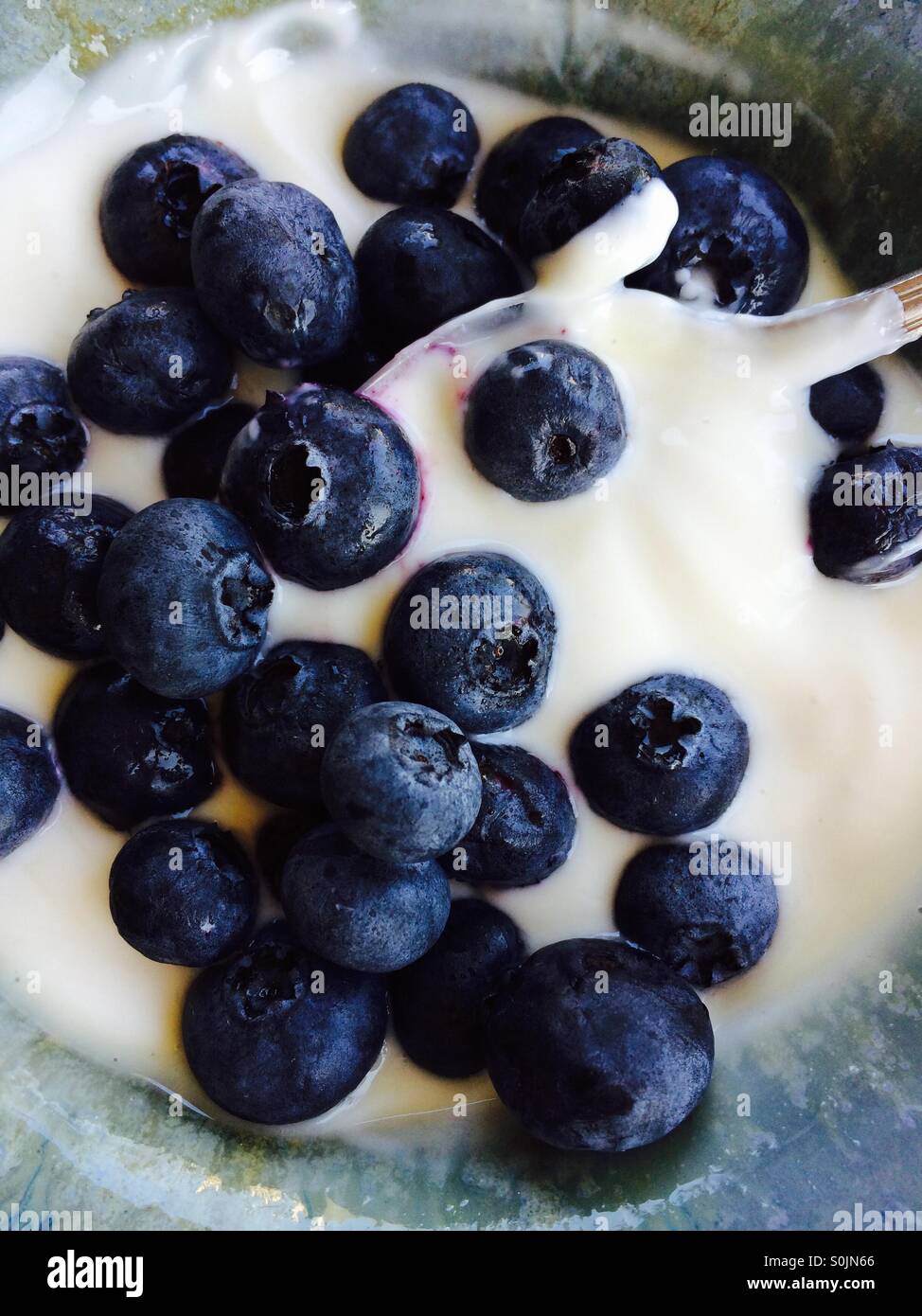Breakfast yogurt with fresh blueberries Stock Photo