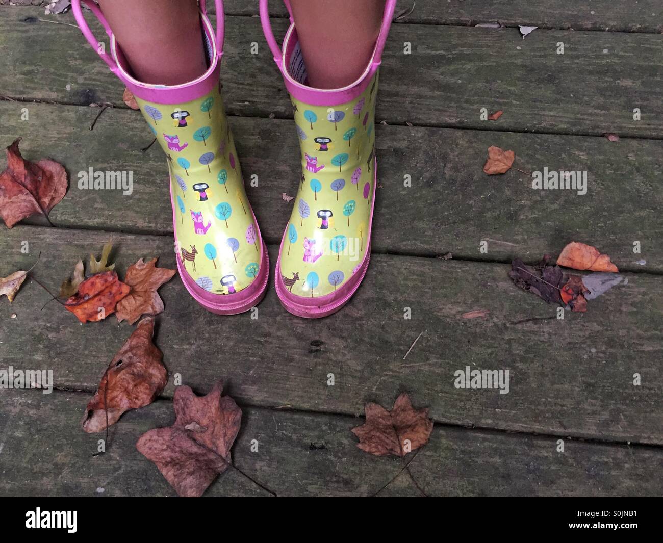 Girl's rain boots on a wooden deck with fallen leaves Stock Photo Alamy