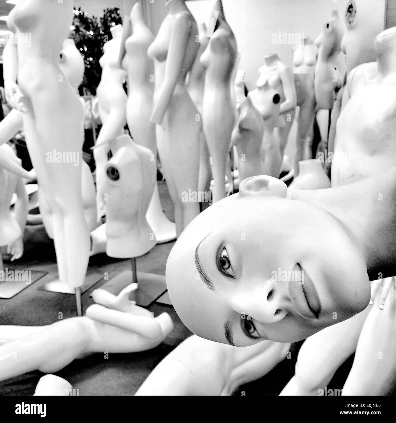 A large number of mannequins and a close up of s woman mannequin head in black and white - Smartphone Captured Stock Image