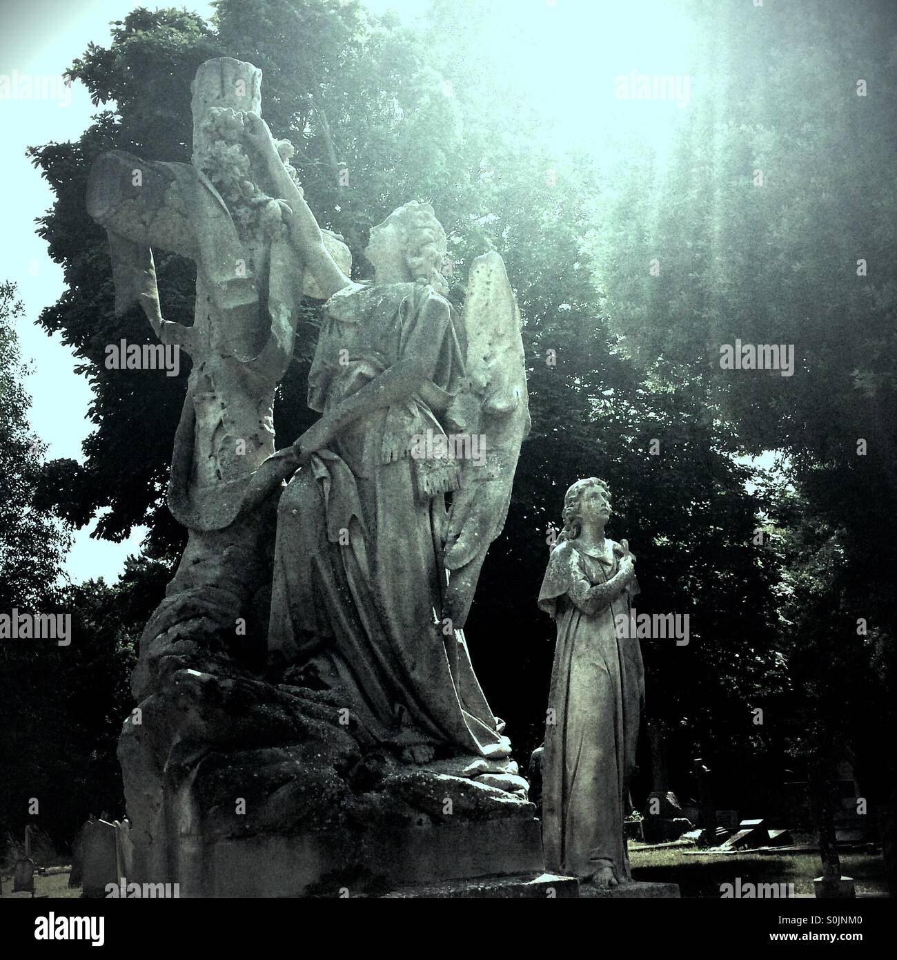 Angels in cemetery. - Smartphone Captured Stock Image