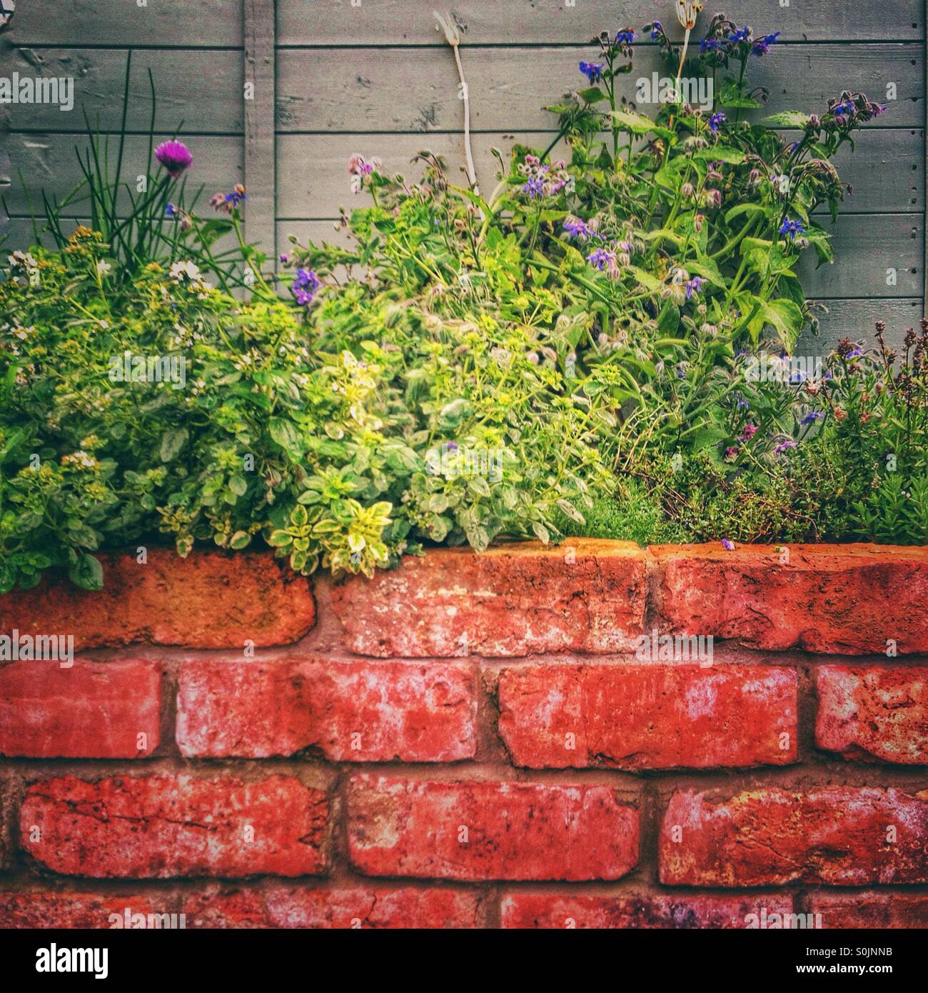 Garden wall bricks hi-res stock photography and images - Alamy