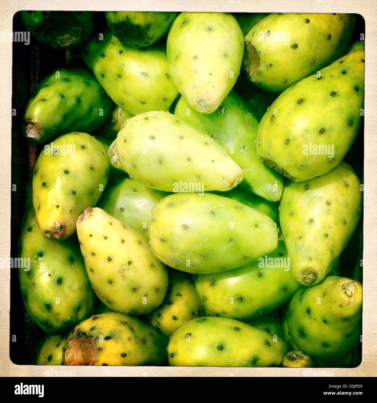 Prickly pears for sale Cuetzalan, Sierra Madre of Puebla, Mexico Stock Photo