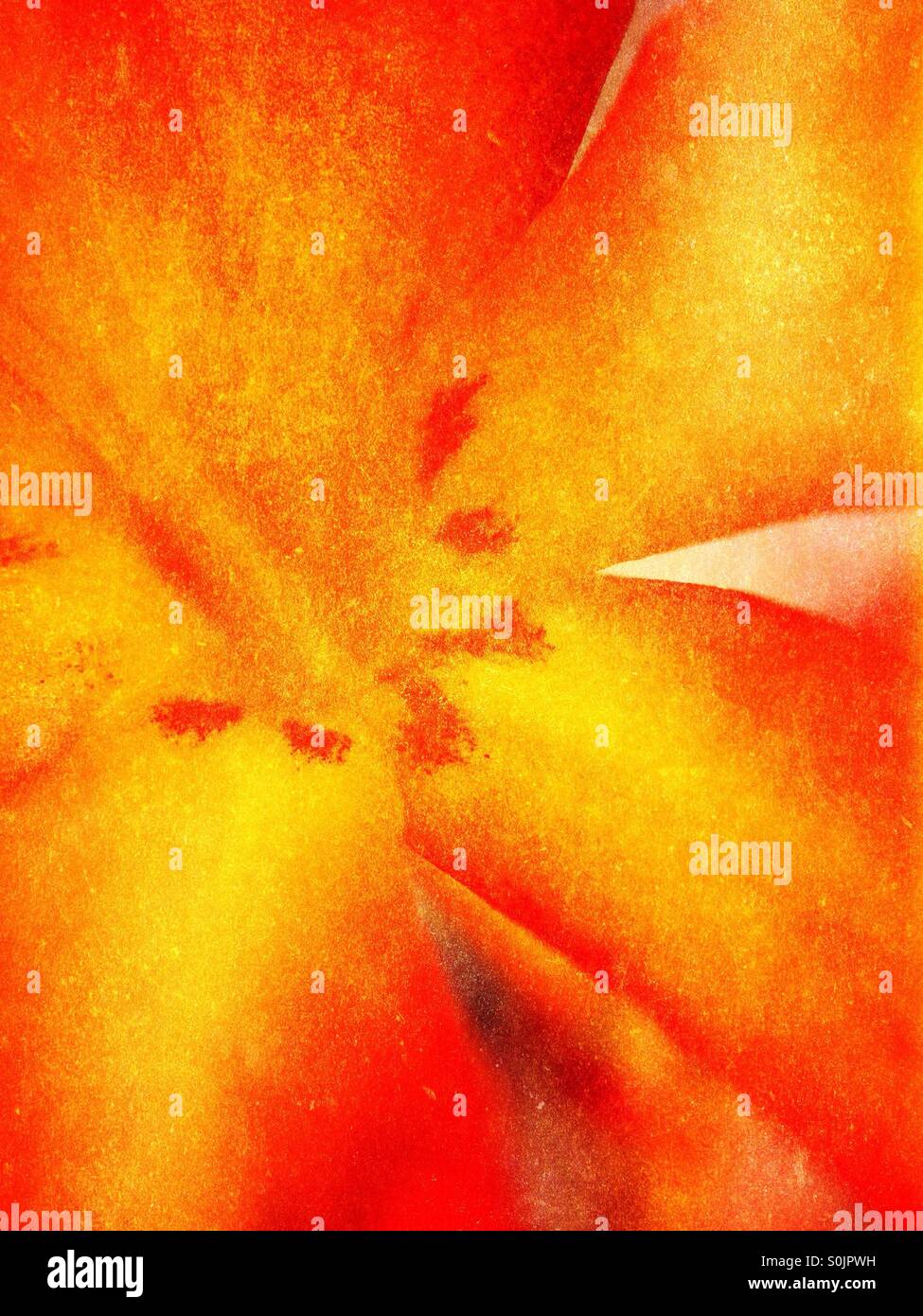 Montbretia flower - Smartphone Captured Stock Image