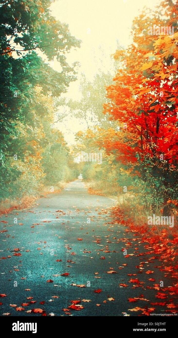 Summer and August Stock Photo - Alamy