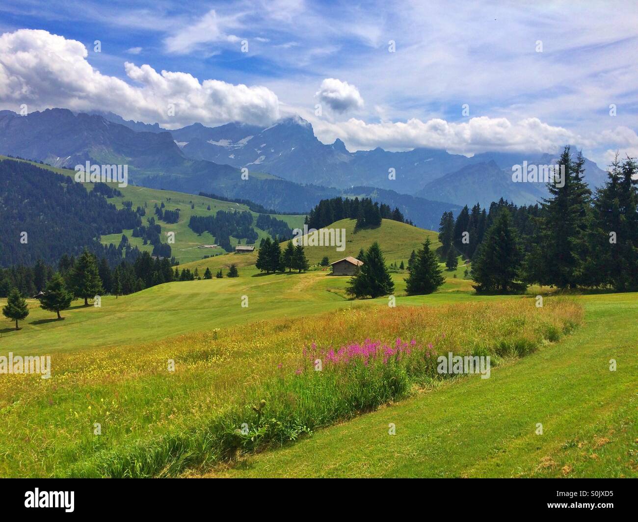 Amazing lansdcape in the high mountains in Switzerland - Smartphone Captured Stock Image