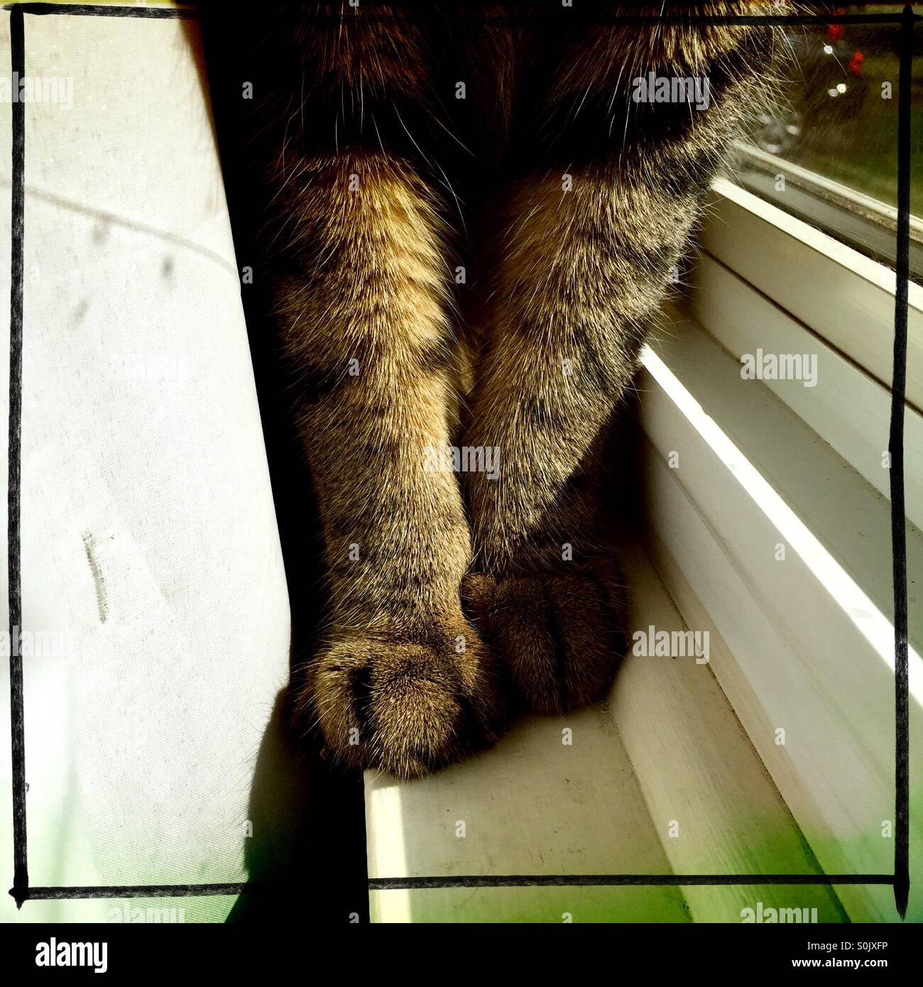 Sunny day - Smartphone Captured Stock Image