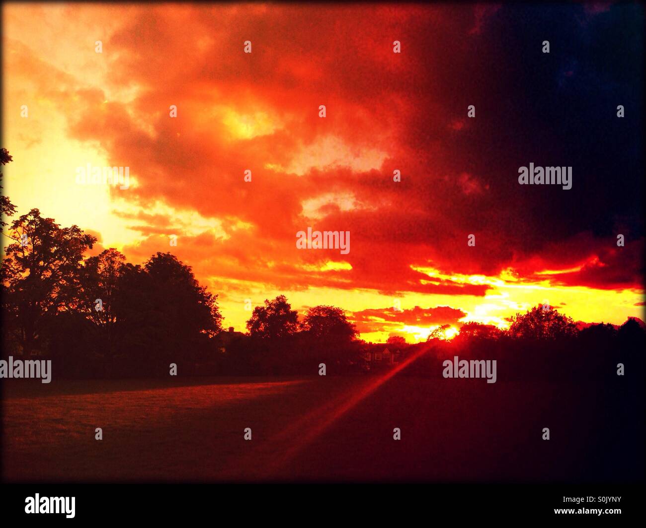 Sunset in King Edward VII park, Wembley, London Borough of Brent, North West London, England Sunset in King Edward VII park, Wembley, London Borough of Brent, North West London, England