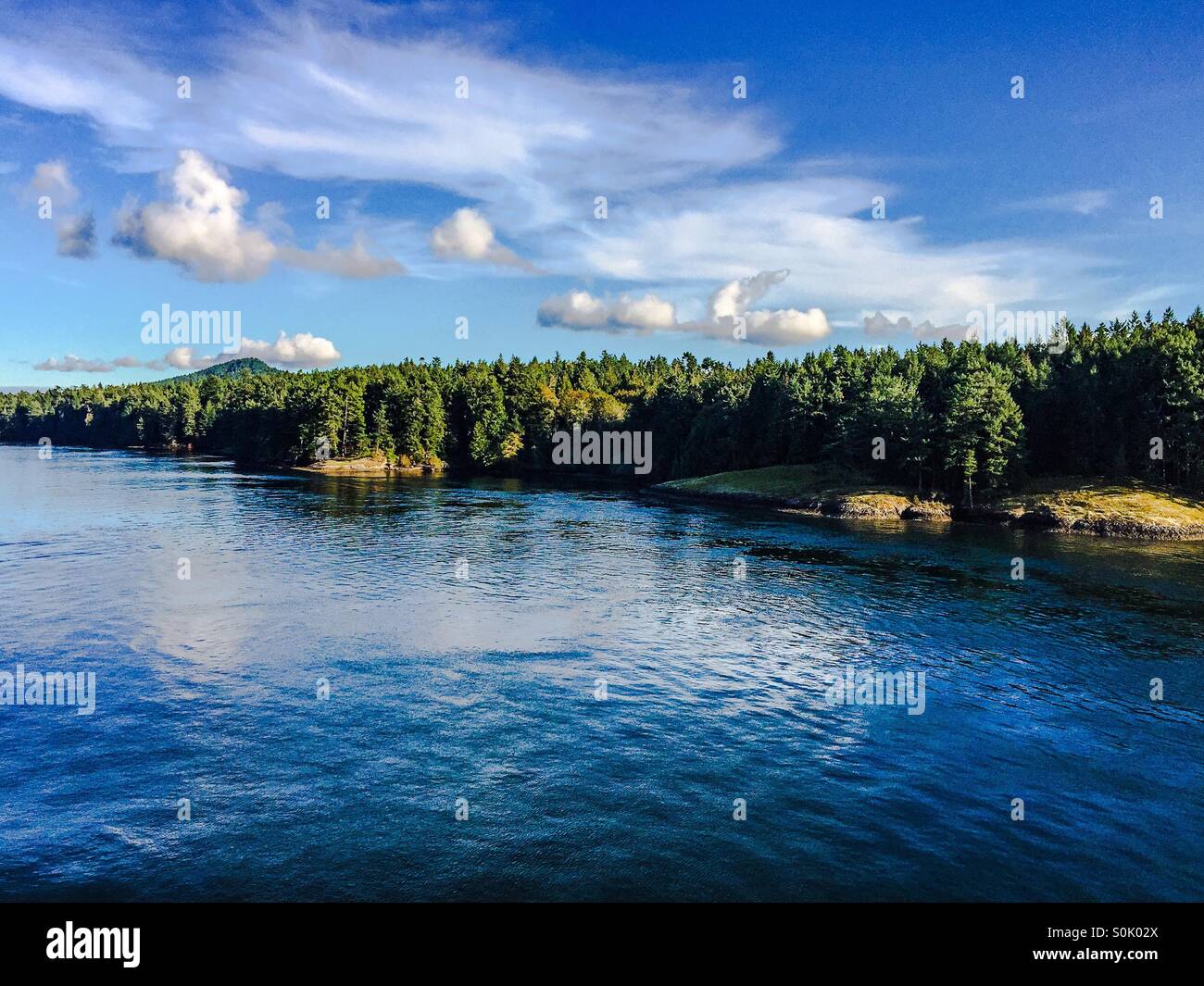 Shore of a small island in the Salish Sea as seen from a boat, on a sunny late summer day. Stock Photo