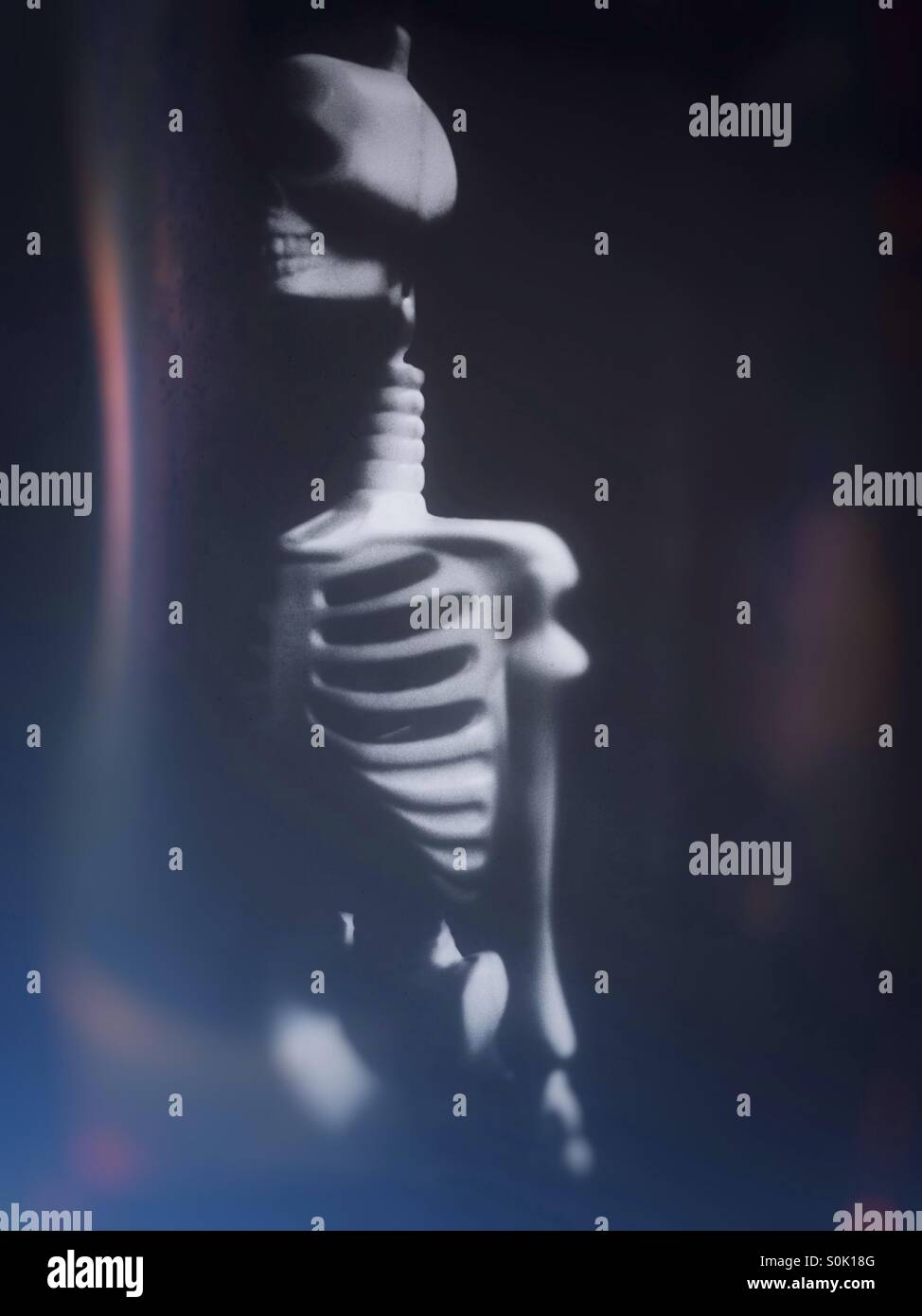 Toy skeleton. - Smartphone Captured Stock Image